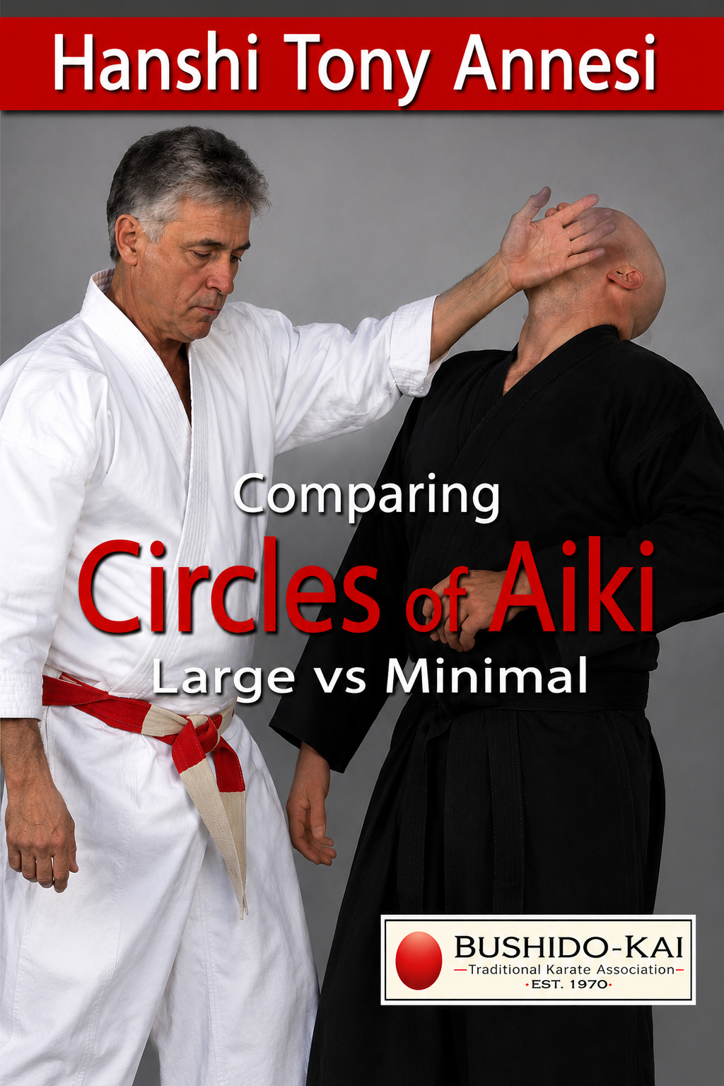 Comparing Circles of Aiki DVD with Tony Annesi