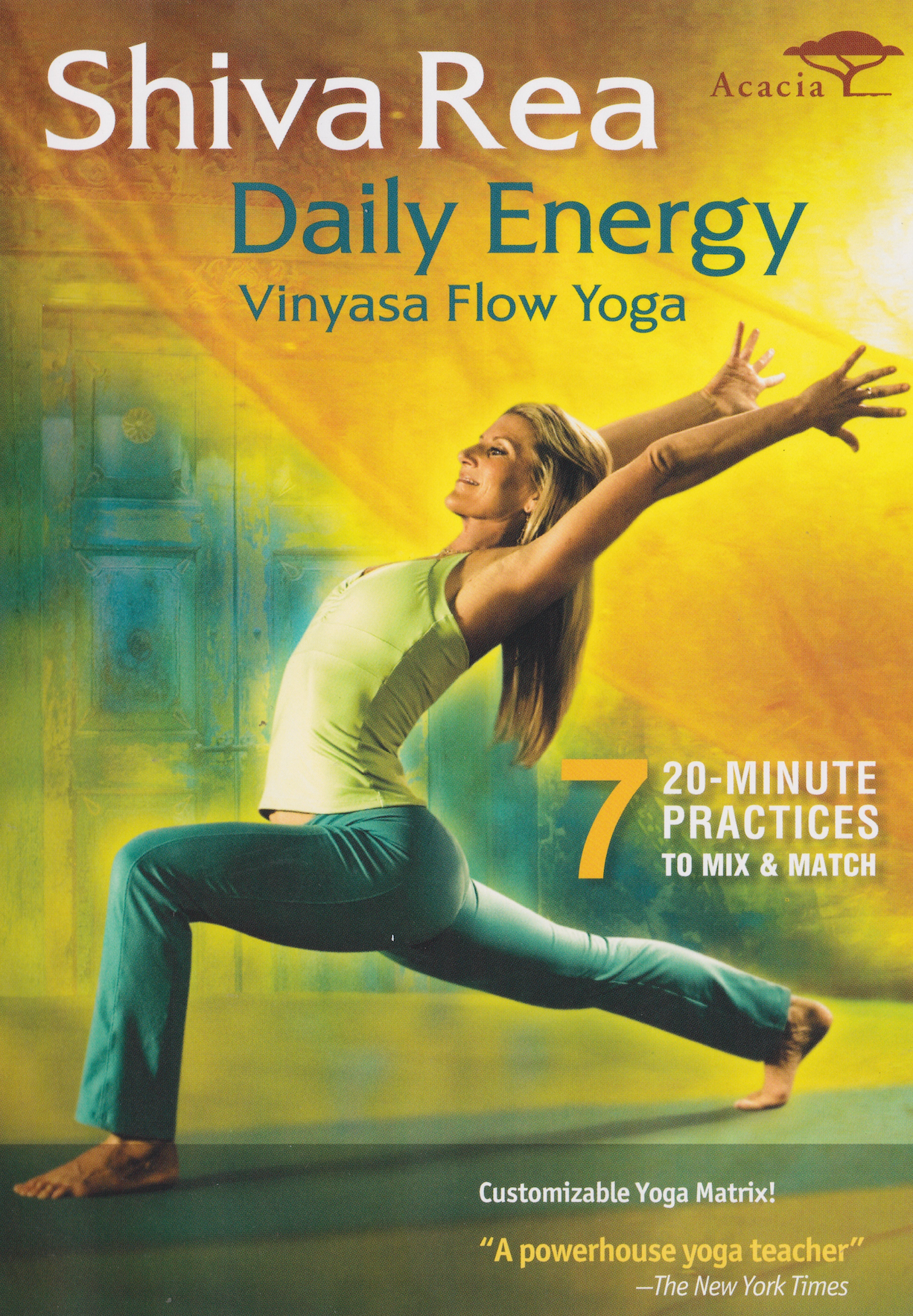 Daily Energy Vinyasa Flow Yoga DVD by Shiva Rea (Preowned)