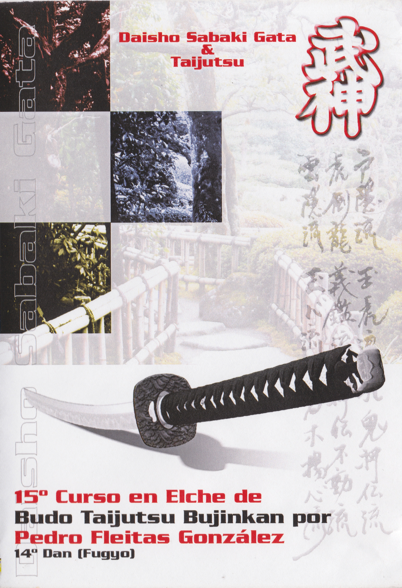 Daisho Sabaki Kata & Taijutsu DVD by Pedro Fleitas (Preowned)