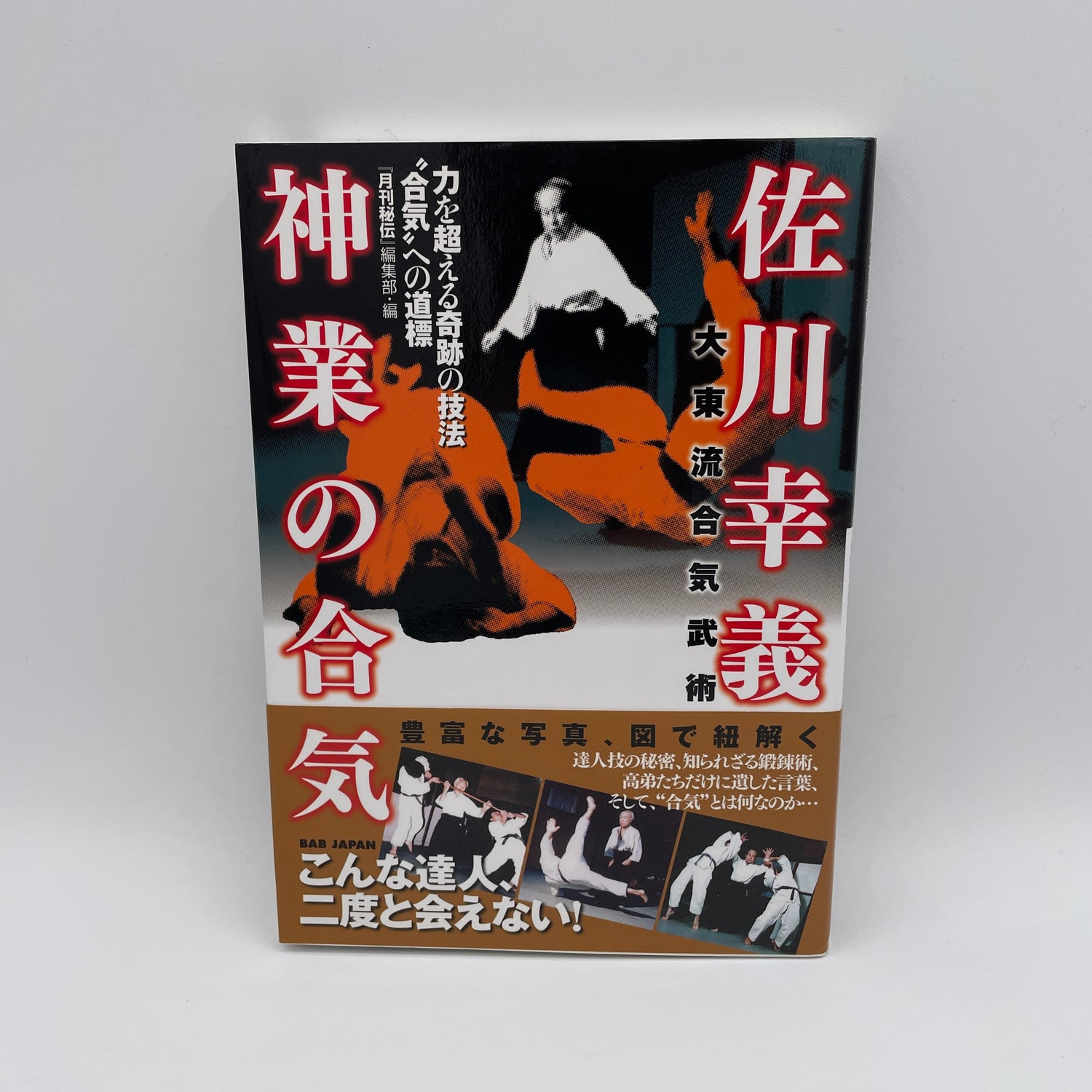 Daito Ryu Aiki Bujutsu de Sagawa Yukiyoshi Libro de las Técnicas Divinas del Aiki