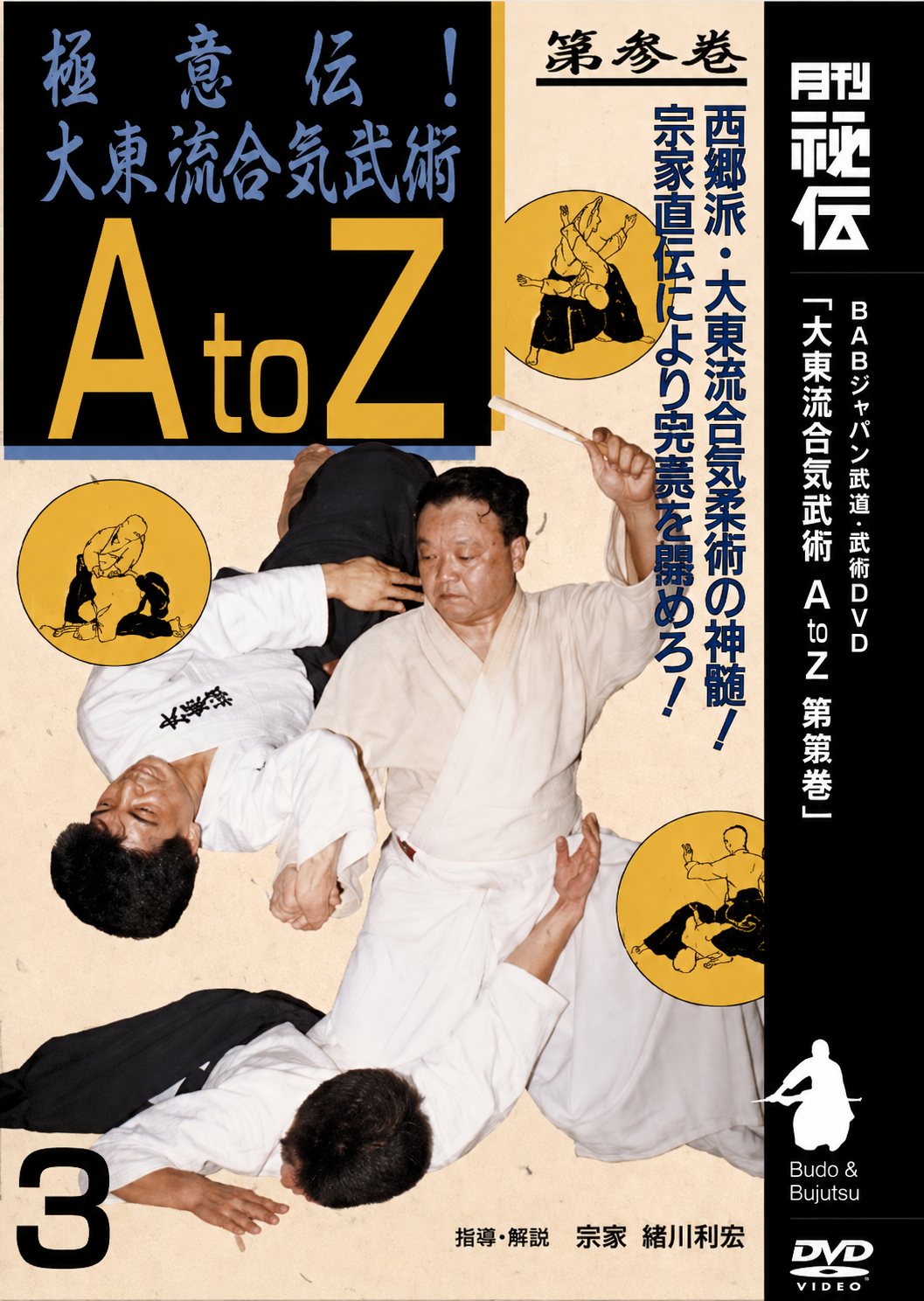 大東流合気武術 A to Z DVD 3 十川一興