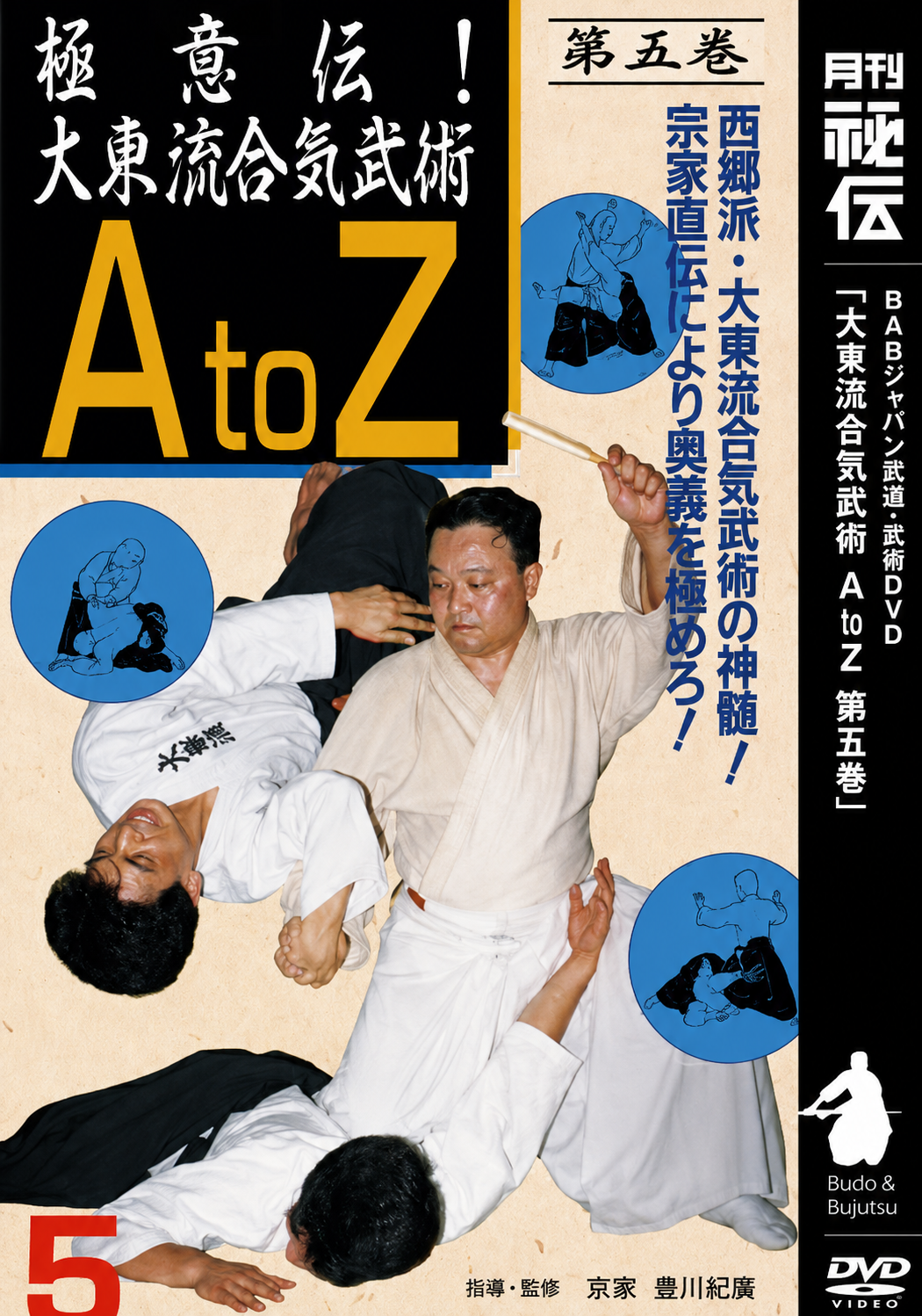 大東流合気武術 A to Z DVD 5 十川一興