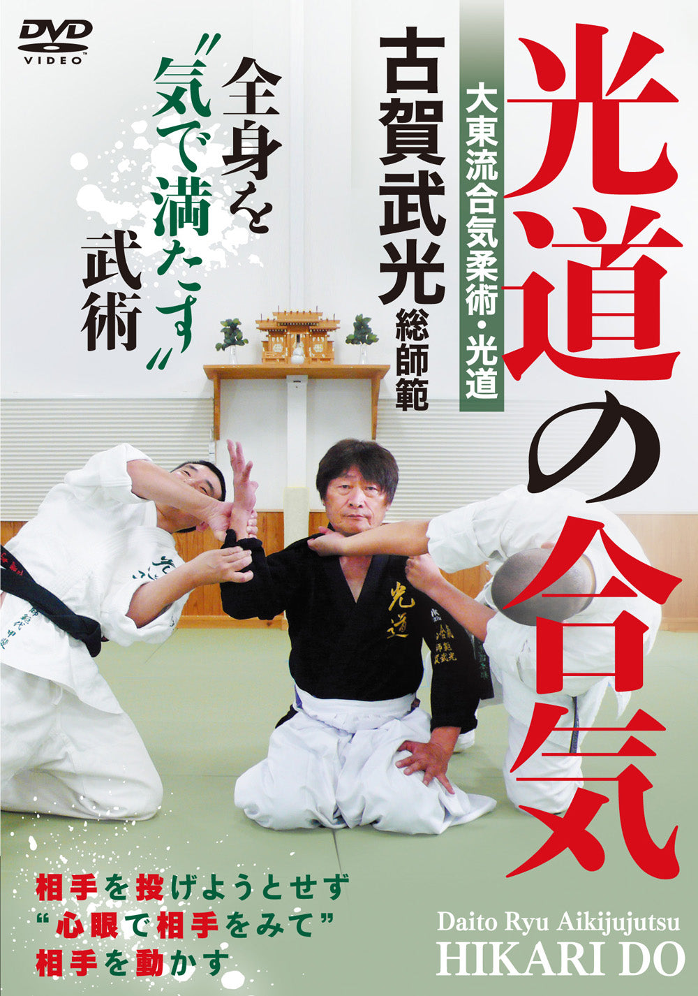 Daito Ryu Aikijujutsu Hikari-Do DVD by Buko Koga