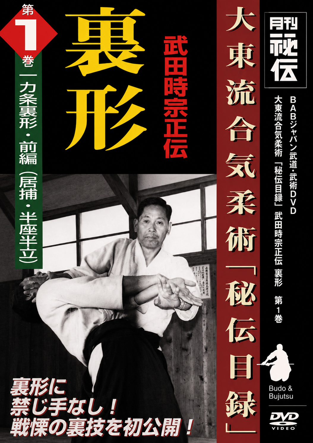 Daito Ryu Aikijujutsu: Ikkajo Ura Techniques DVD 1
