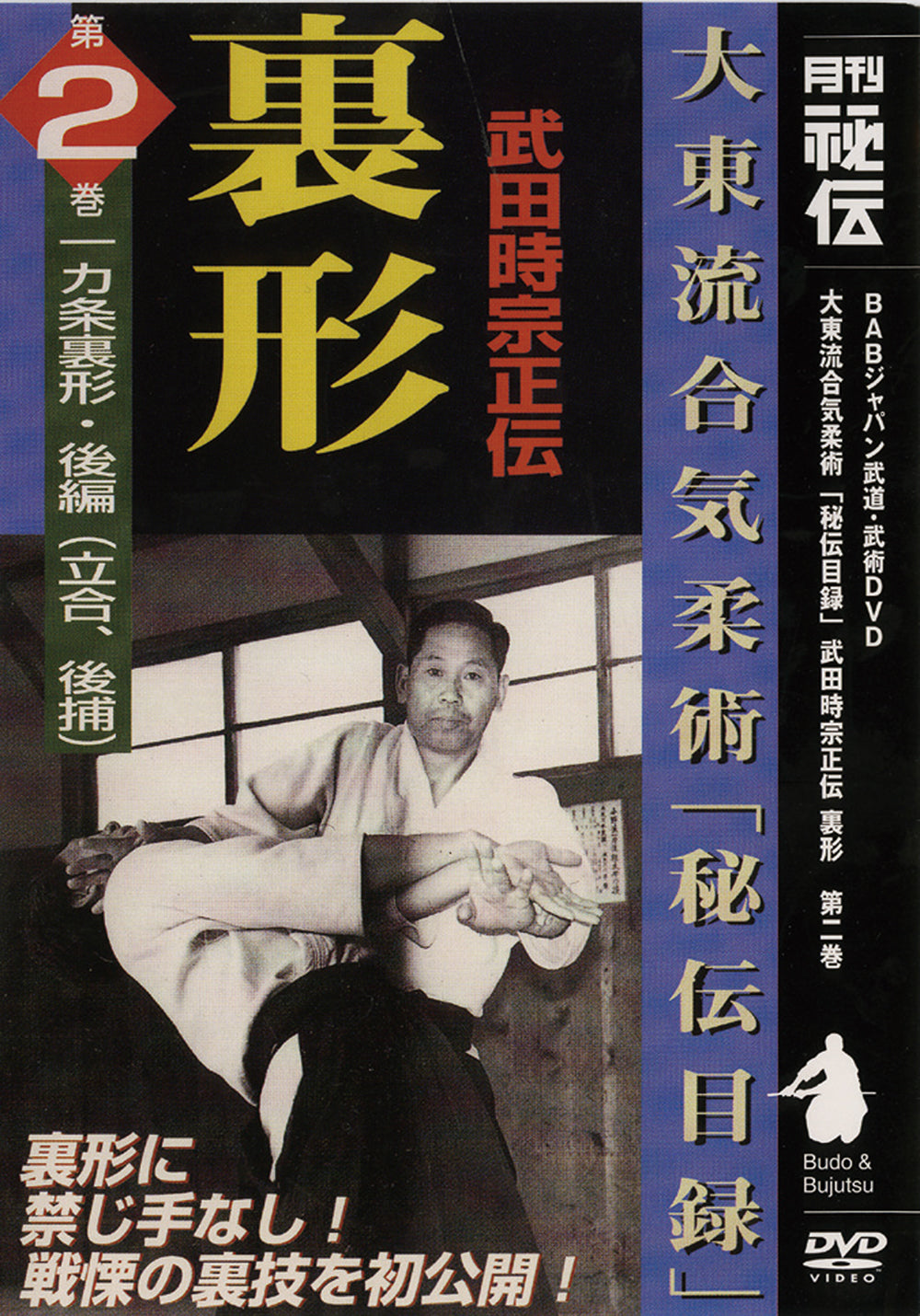 Daito Ryu Aikijujutsu: Ikkajo Ura Techniques DVD 2