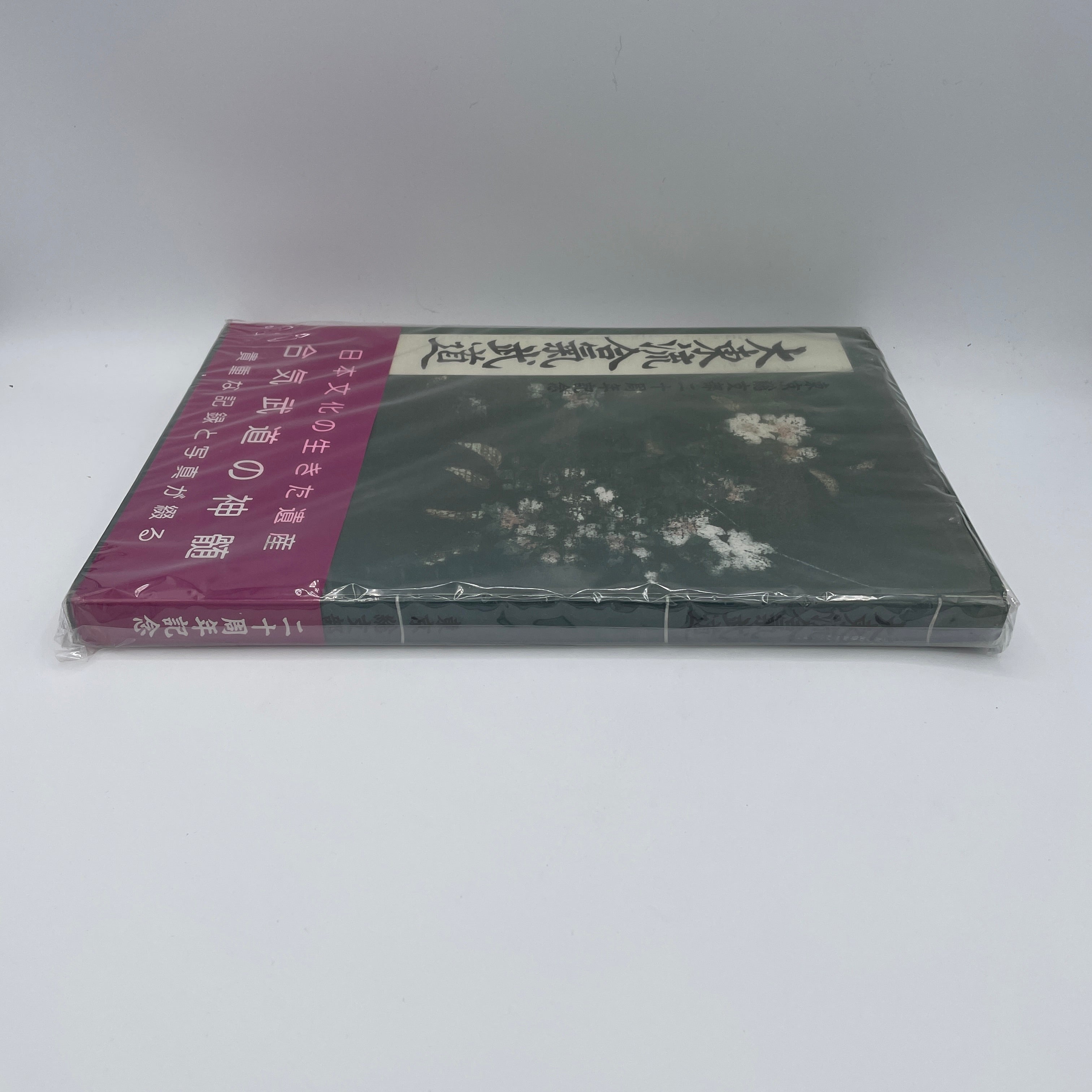 大東流合気柔術 東京支部20周年記念本（中古品）