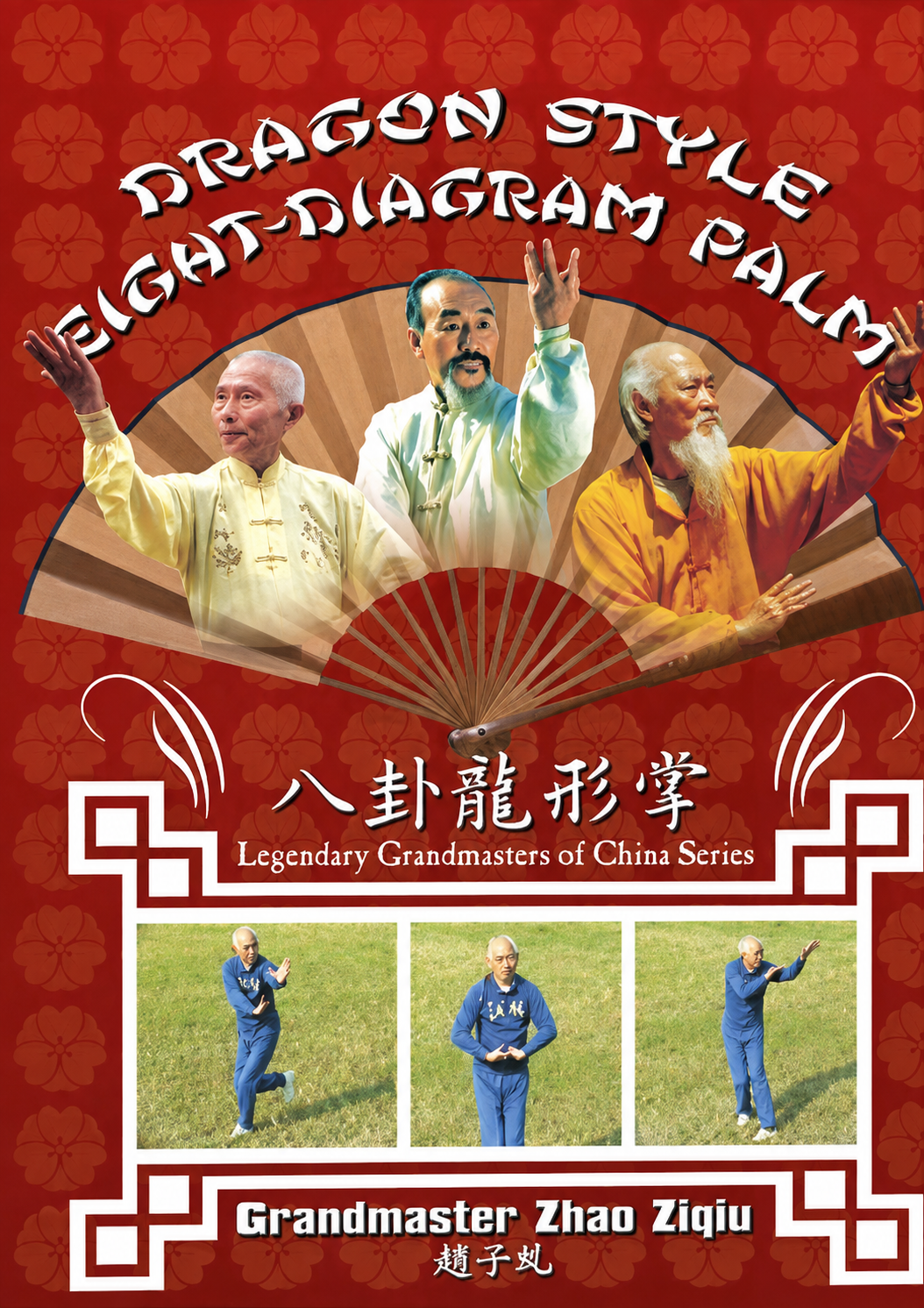 Dragon Style Eight-Diagram Palm DVD by Zhao Ziqiu