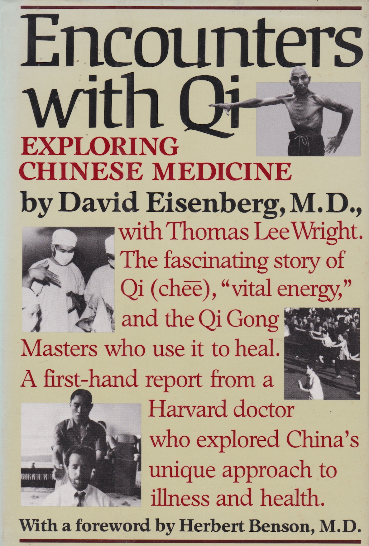 Encounters With Qi: Exploring Chinese Medicine Book by David Eisenberg & Thomas Lee Wright (Preowned)