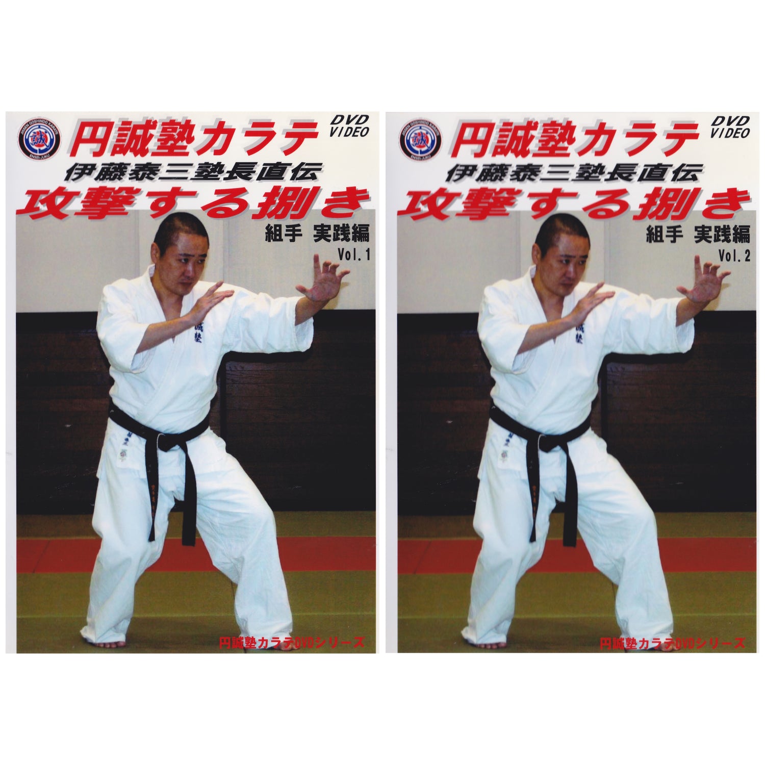 Ensei Juku Okinawan Style Kumite: Practical Application 2 DVD Set by Taizo Ito (Preowned)