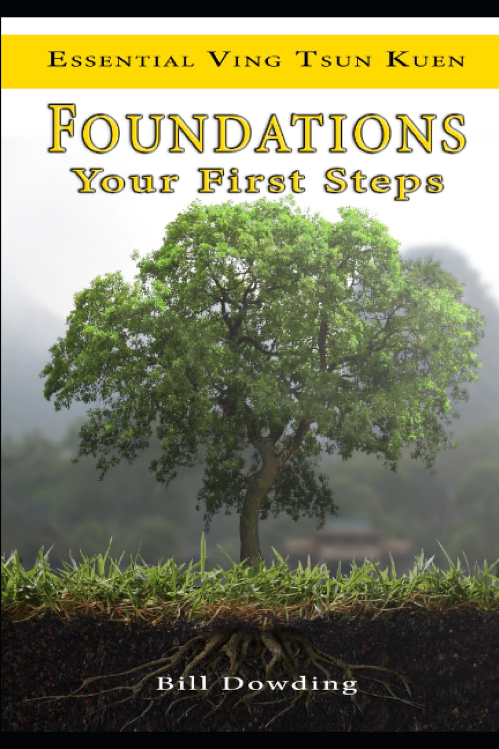 Essential Ving Tsun Kuen: Foundations Your First Steps Book by Bill Dowding