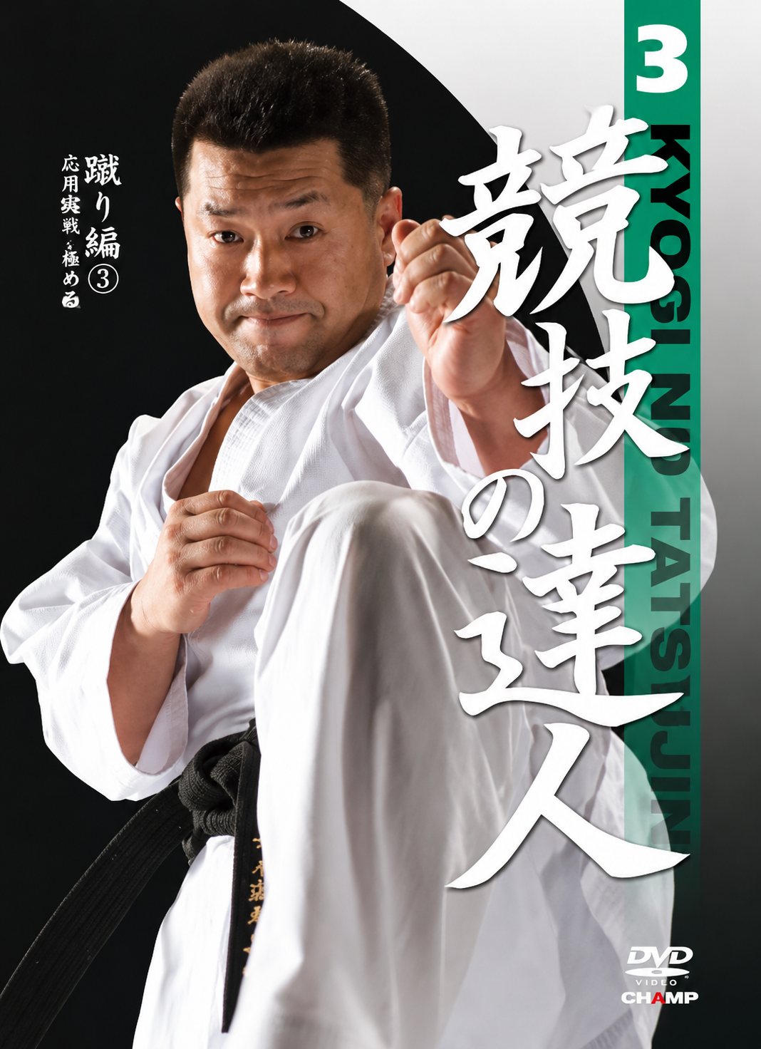 Expert of Match 3: Basic Kicks by Shin Tsukii