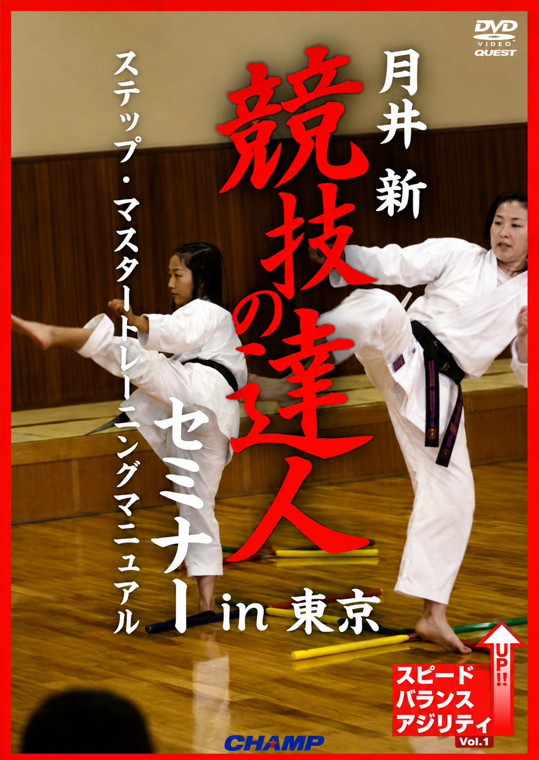 Expert of Match Seminar in Tokyo DVD with Shin Tsukii
