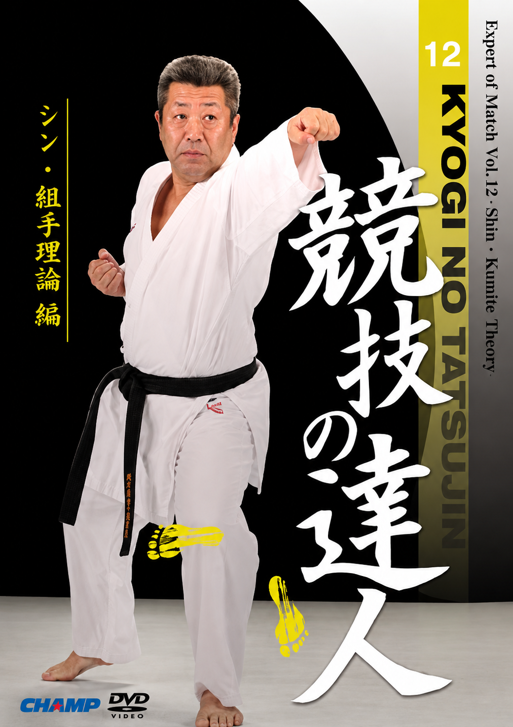 Expert of Match Vol 12 Shin Kumite Theory DVD with Shin Tsukii