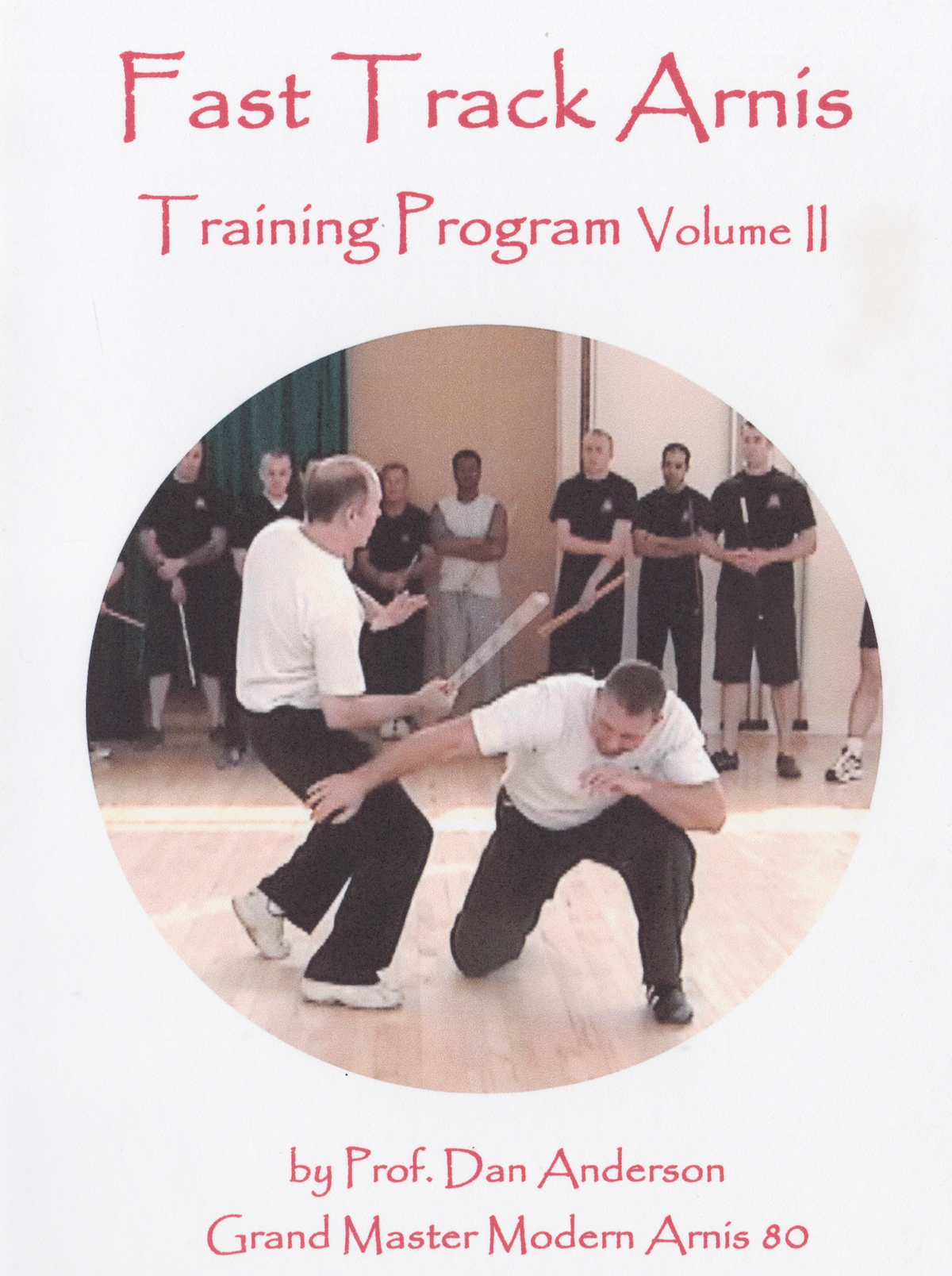 Fast Track Arnis Training Program DVD 2 by Dan Anderson (Preowned)