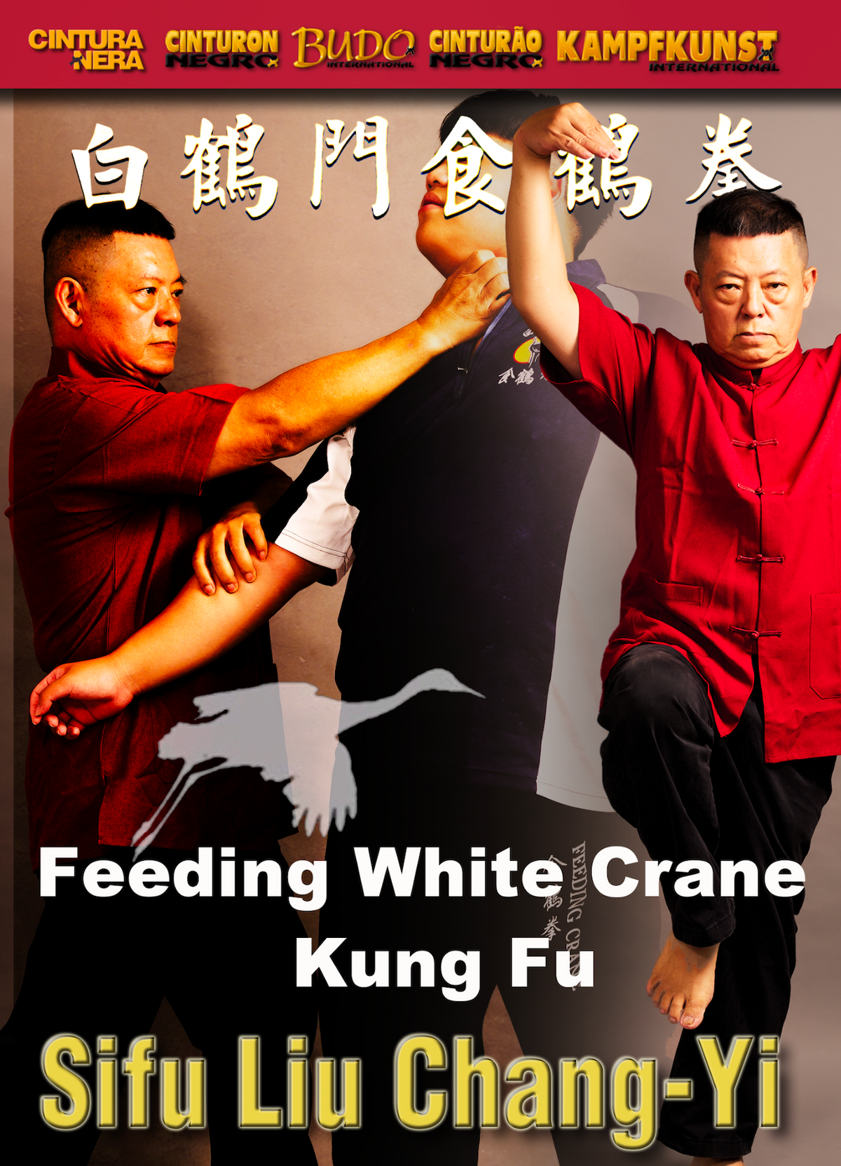 Feeding White Crane Kung Fu DVD by Liu Chang-Yi