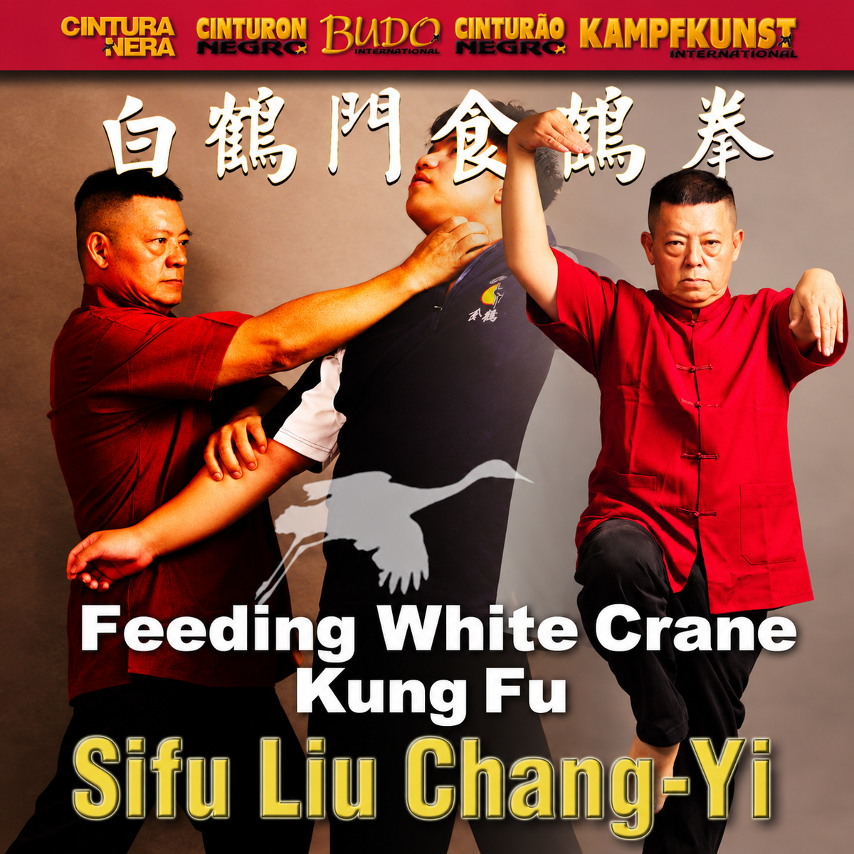 Feeding White Crane Kung Fu by Liu Chang-Yi (On Demand)