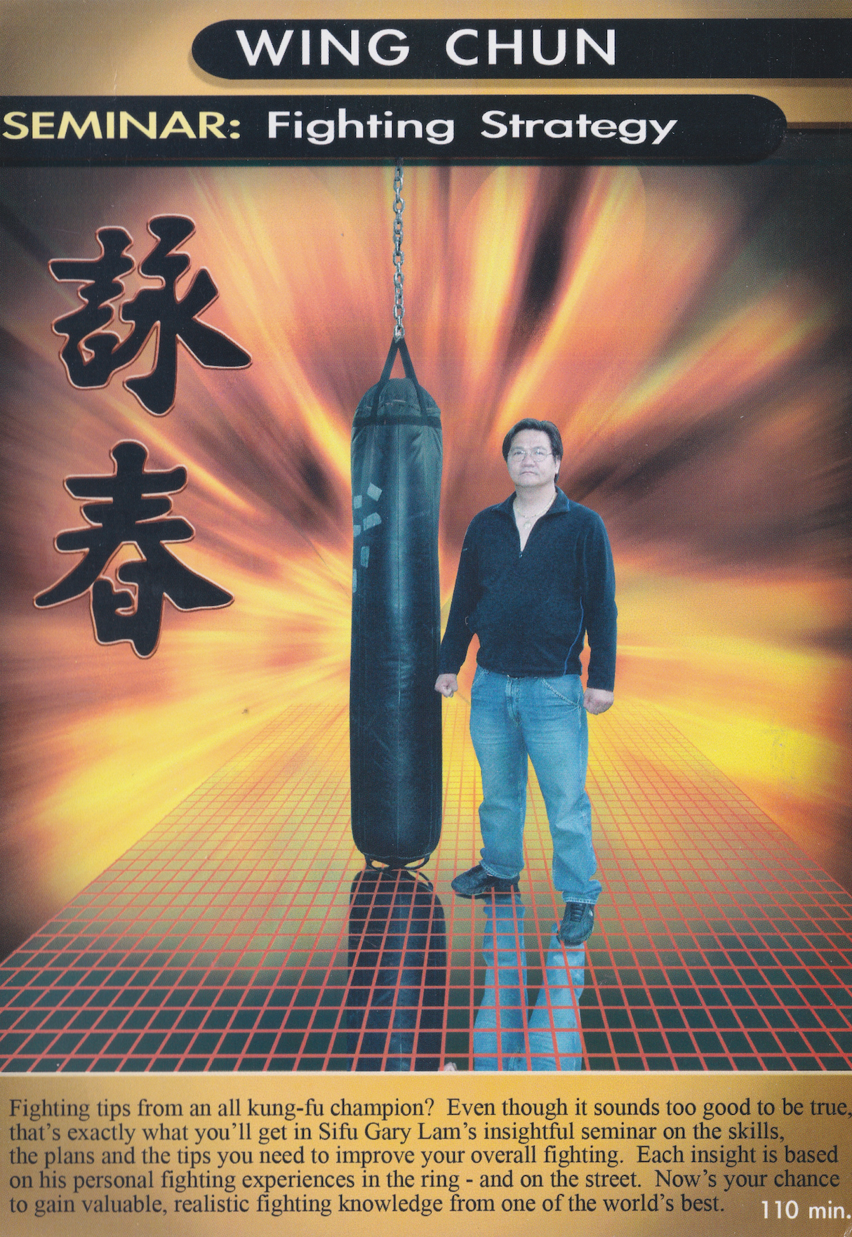 Fighting Strategy Seminar DVD by Gary Lam