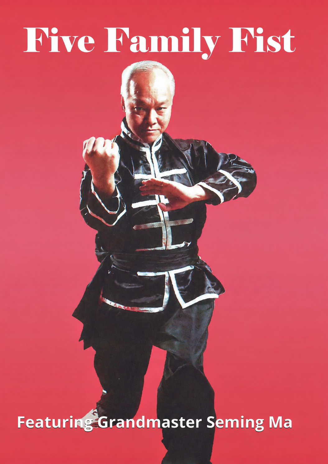 Five Family Fist Kung Fu DVD by Seming Ma