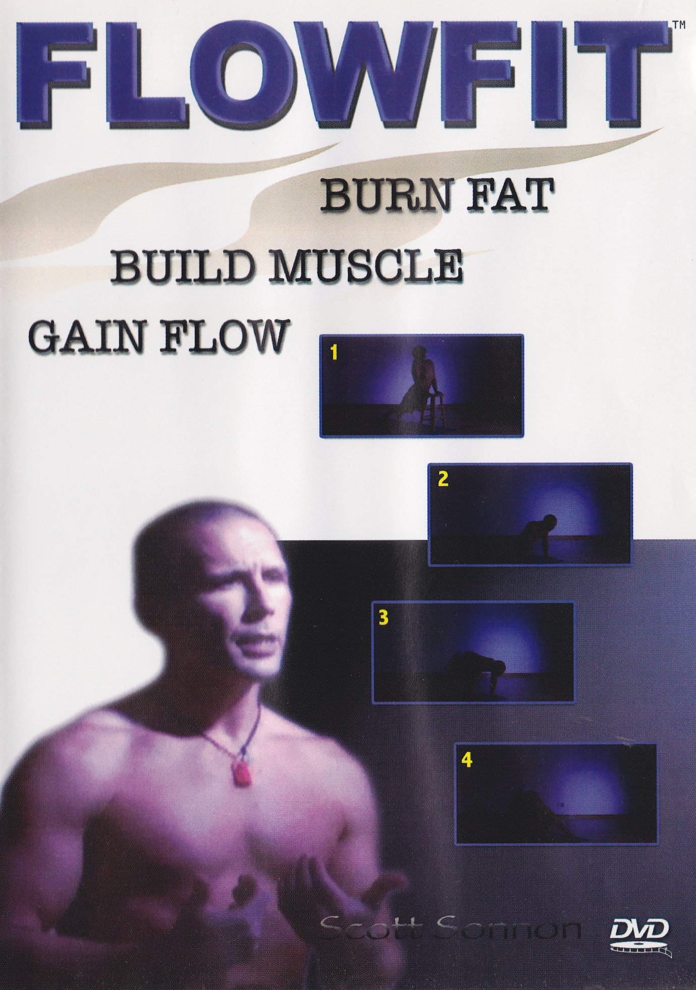 Flowfit DVD by Scott Sonnon (中古品)