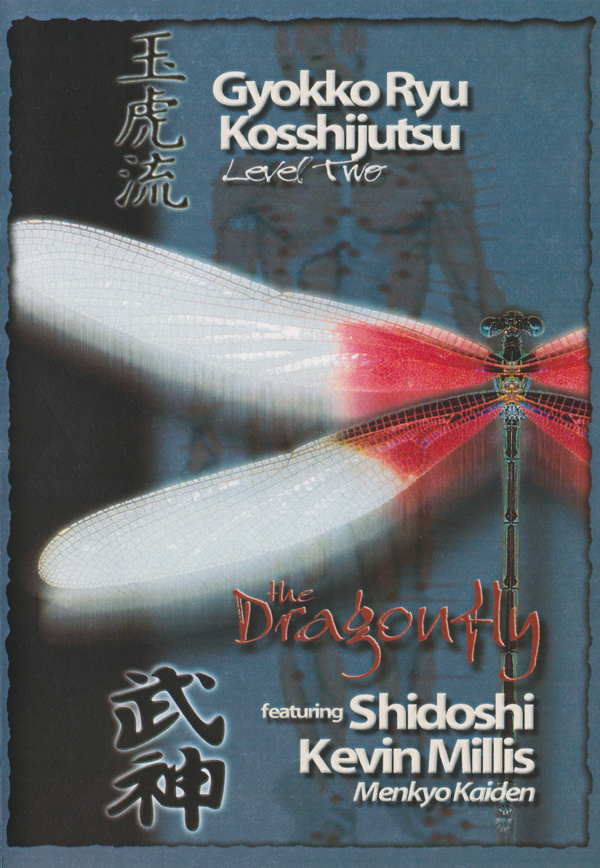 Gyokko Ryu Kosshijutsu Level Two DVD by Kevin Millis (Preowned)