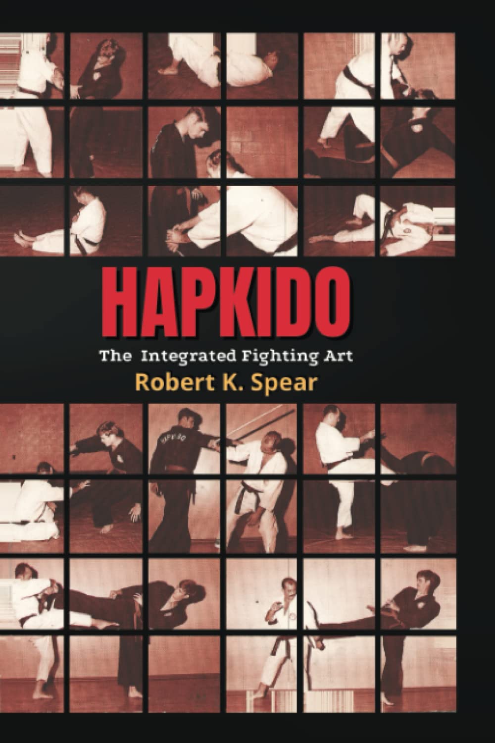 Hapkido: The Integrated Fighting Art Book by Robert Spear