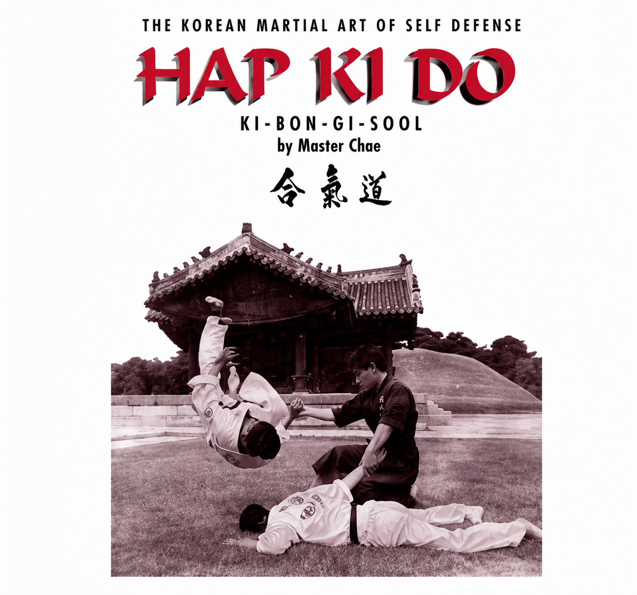 Hapkido: The Korean Martial Art of Self Defense Book by Hui Son Choe (Preowned)