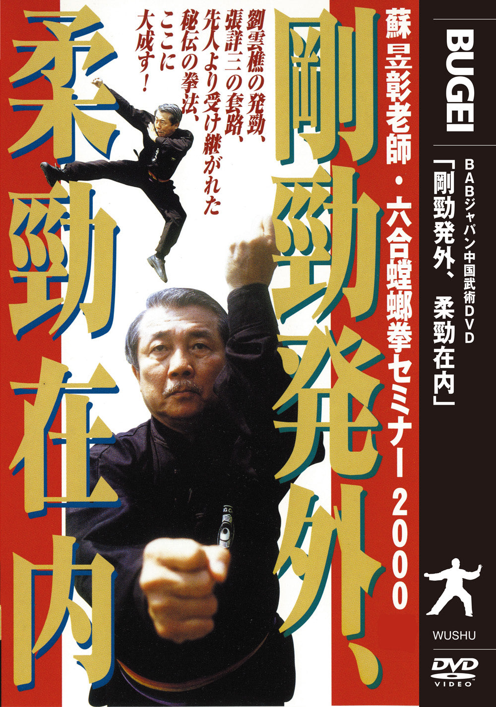 Hard Power Outside, Soft Power Inside DVD by Master Su