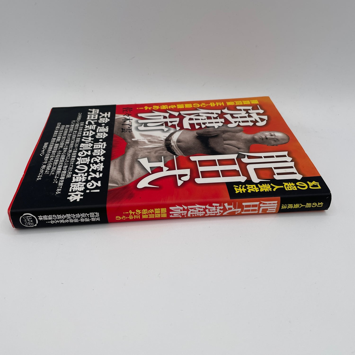 Libro de técnicas fuertes de estilo Hida de Ryun Sasaki
