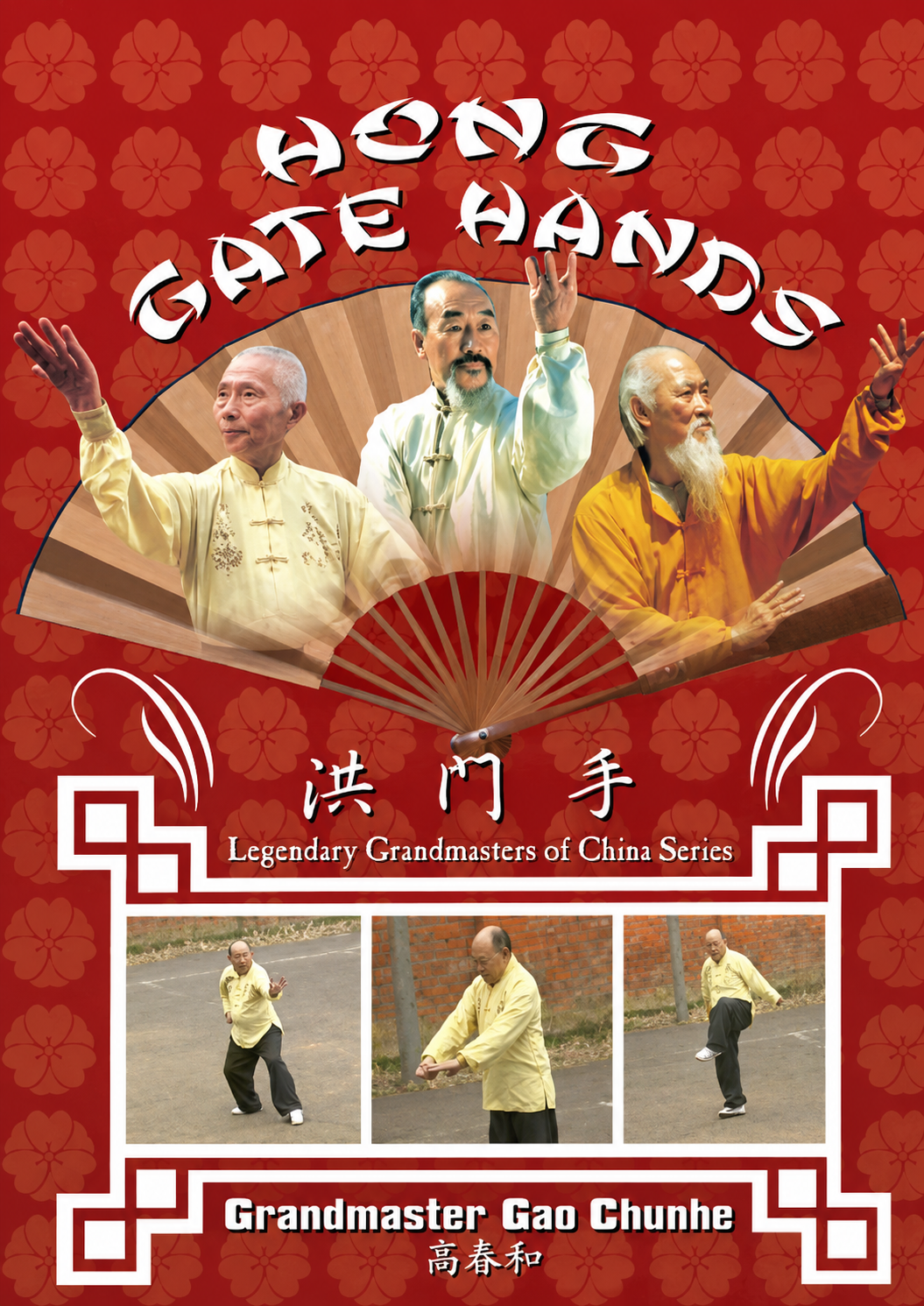 Hong Gate Hands DVD by Gao Chunhe