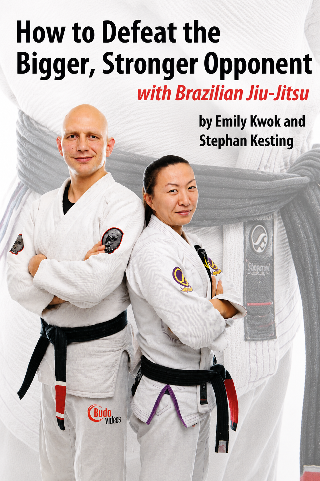 How to Defeat the Bigger, Stronger Opponent 5 DVD Set with Stephan Kesting & Emily Kwok