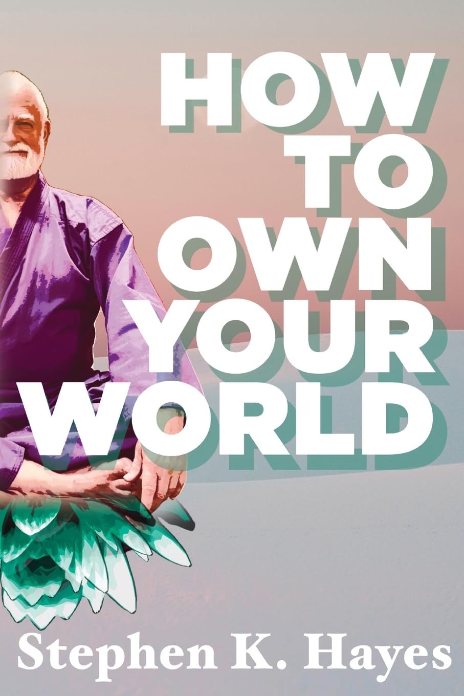 How to Own the World Book by Stephen Hayes