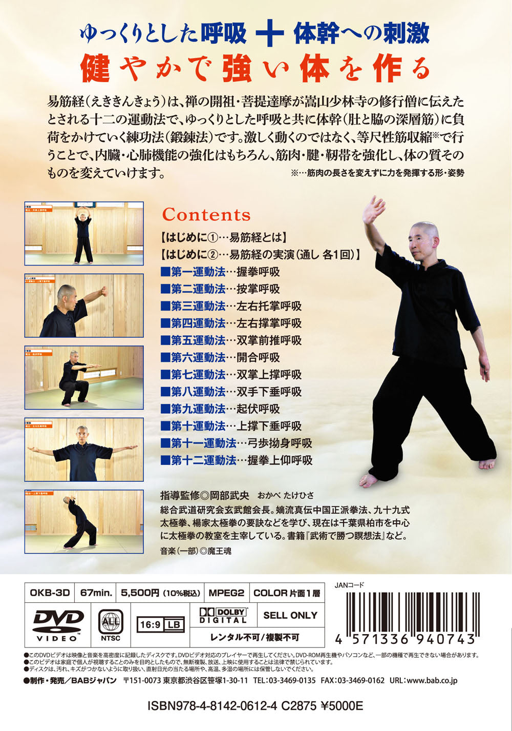 How to do Yi Jin Jing Effectively DVD by Takehisa Okabe