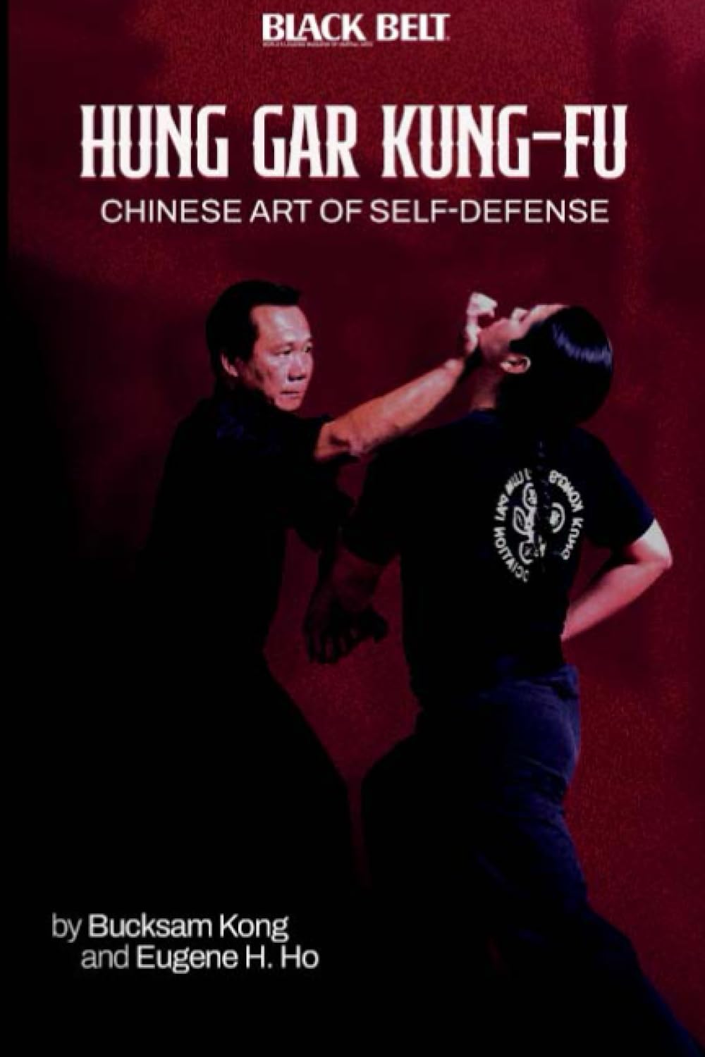 Libro del arte chino de la autodefensa Hung Gar Kung Fu de Bucksam Kong (usado)