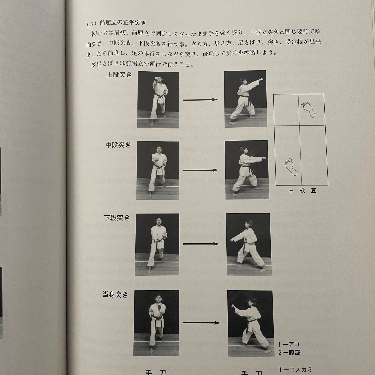 Goju Ryu Okinawan Karate Textbook (Uchinanchu) by Zenshu Toyama (Preowned)
