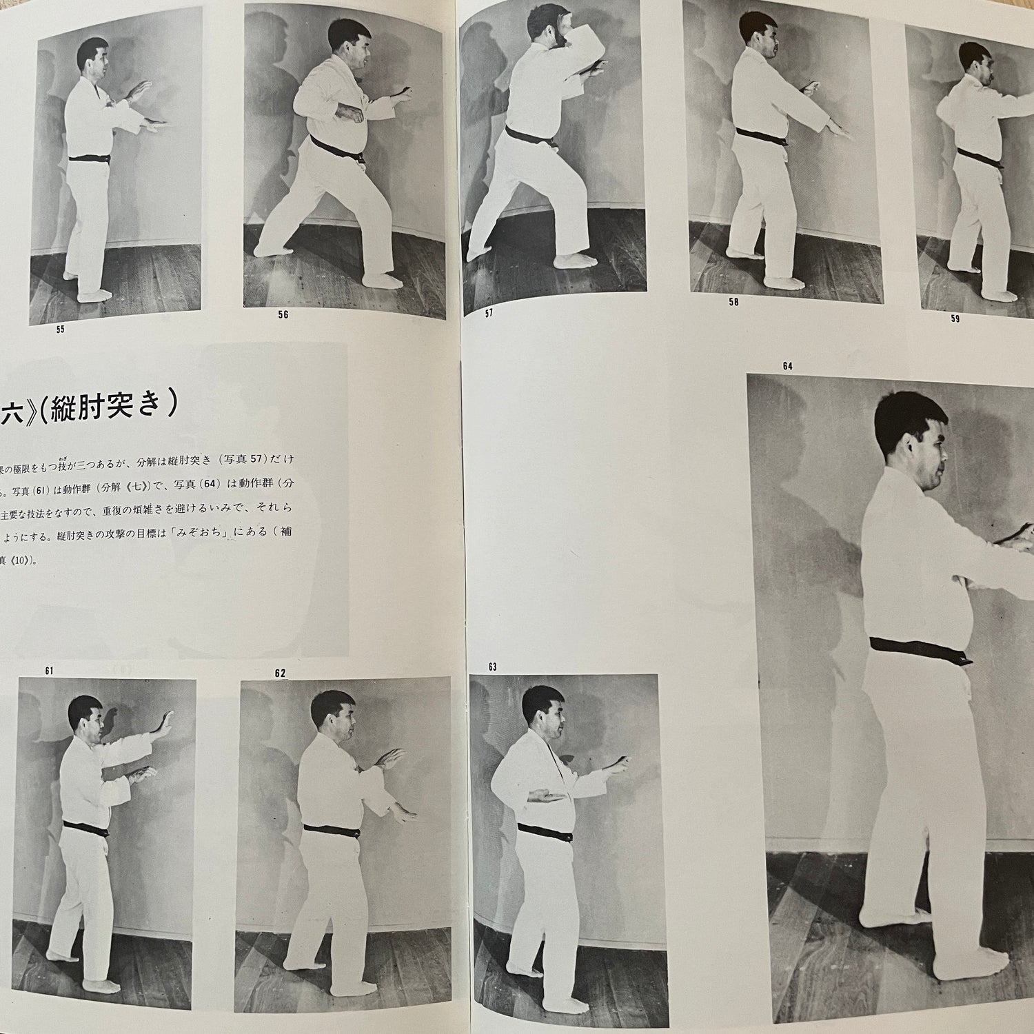 Detailed Okinawa Uechi Ryu Karate-Do History and Techniques by Kanei Uechi (Hardcover) (Preowned)