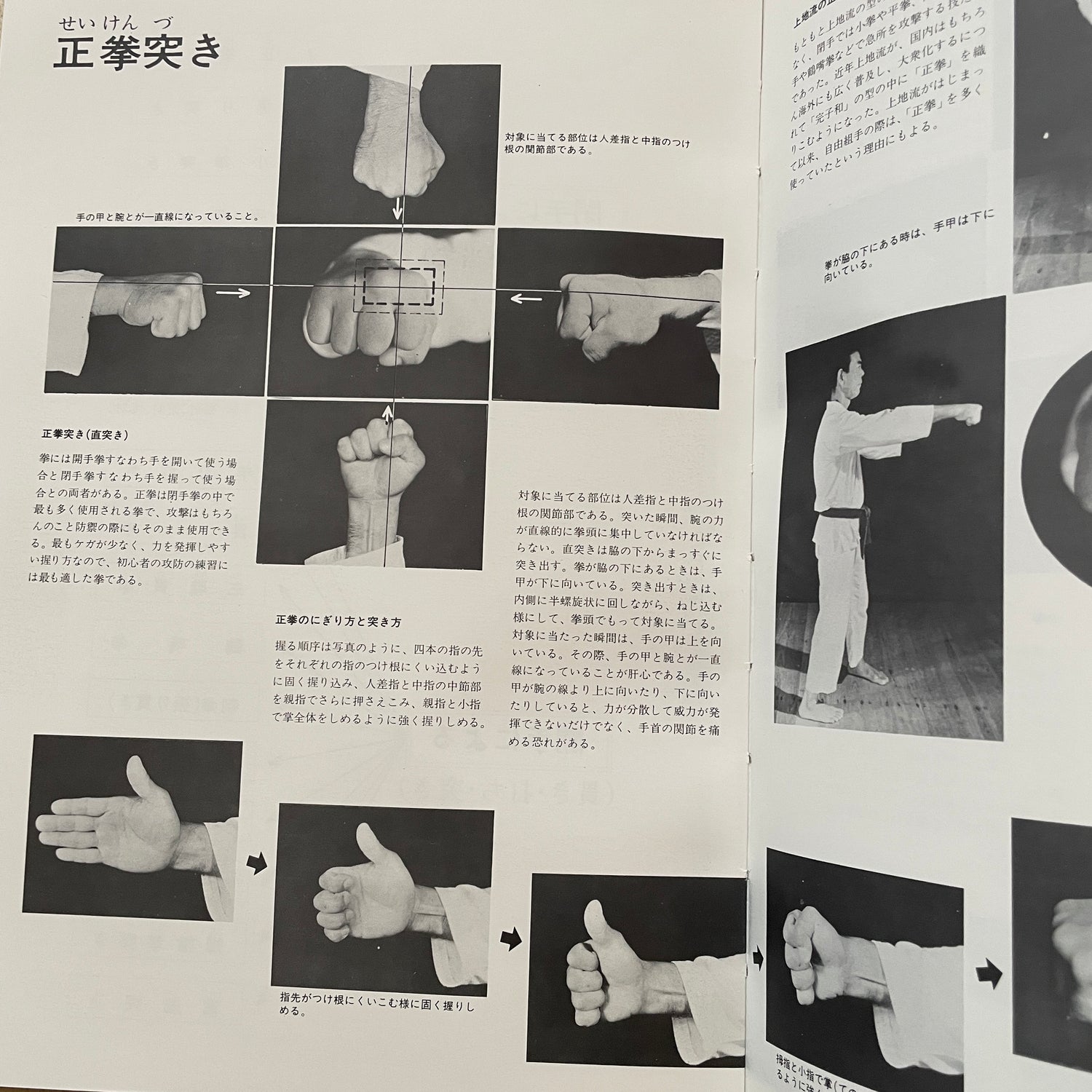 Detailed Okinawa Uechi Ryu Karate-Do History and Techniques by Kanei Uechi (Hardcover) (Preowned)