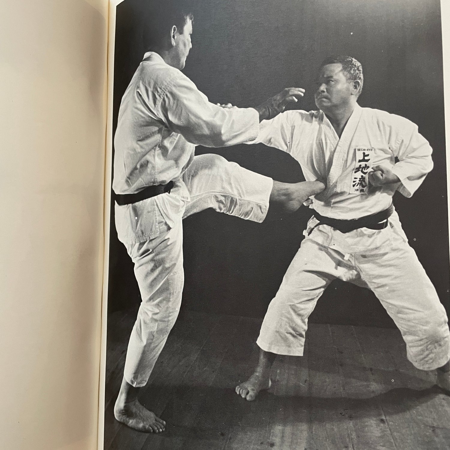 Detailed Okinawa Uechi Ryu Karate-Do History and Techniques by Kanei Uechi (Hardcover) (Preowned)