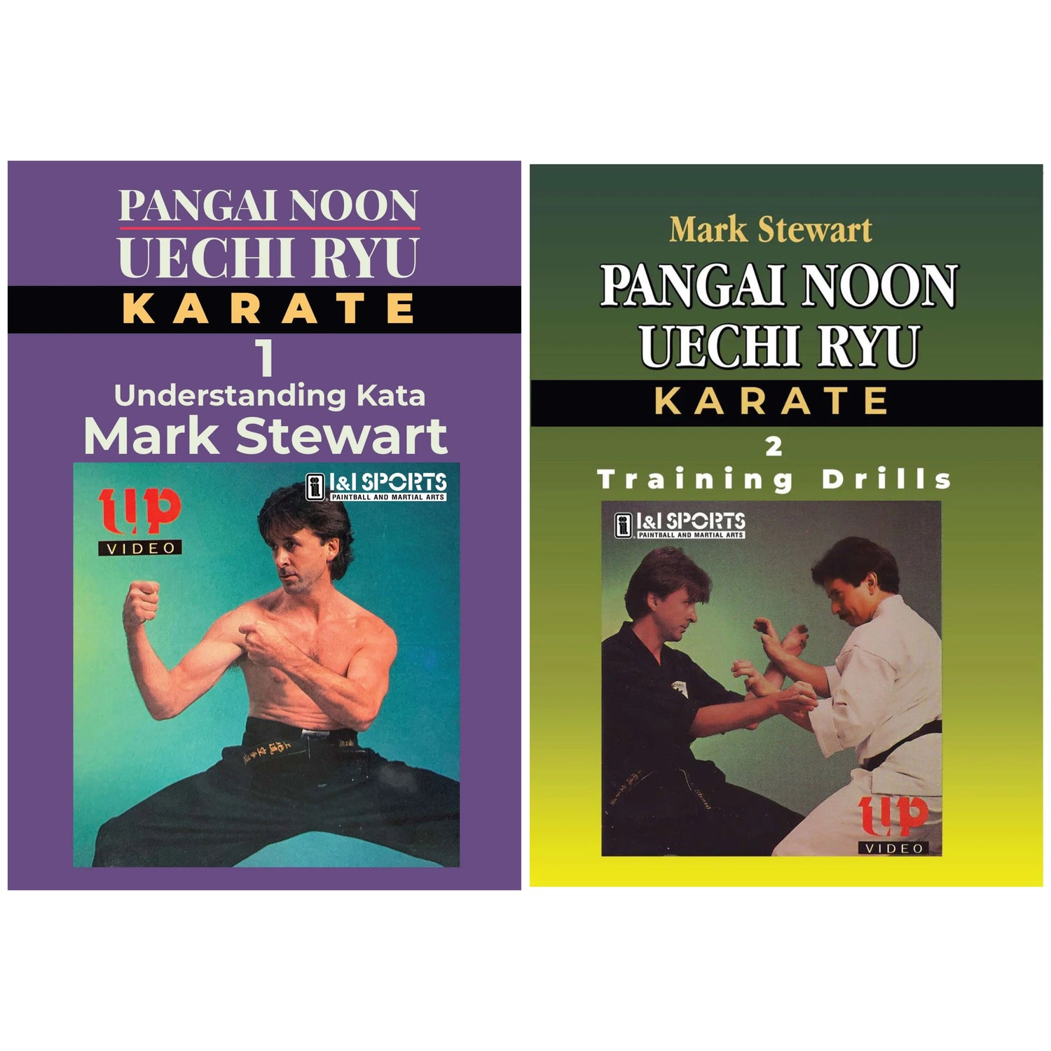 Pangai Noon Uechi Karate Training 2 DVD Set by Mark Stewart