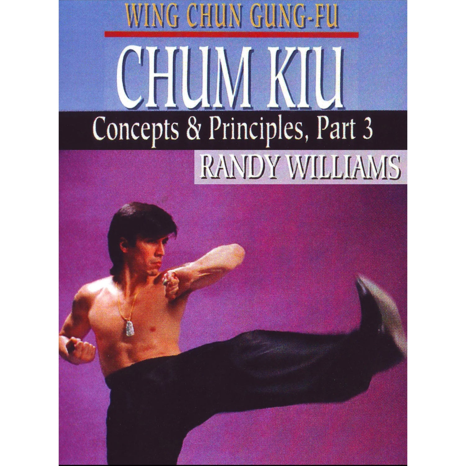 Wing Chun Chum Kiu 3 by Randy Williams (On Demand)