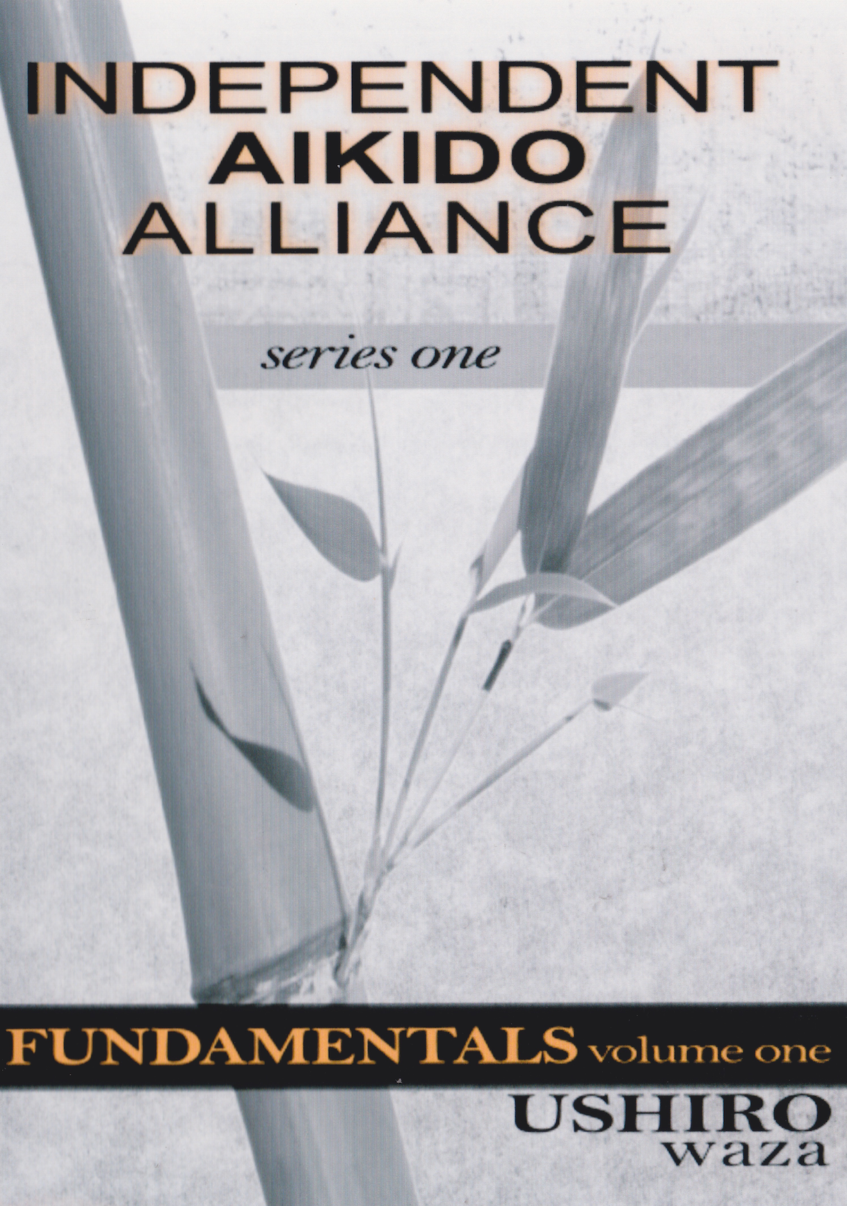 Independent Aikido Alliance Series Fundamentals DVD 1 Ushiro Waza by Gary Boaz (Preowned)