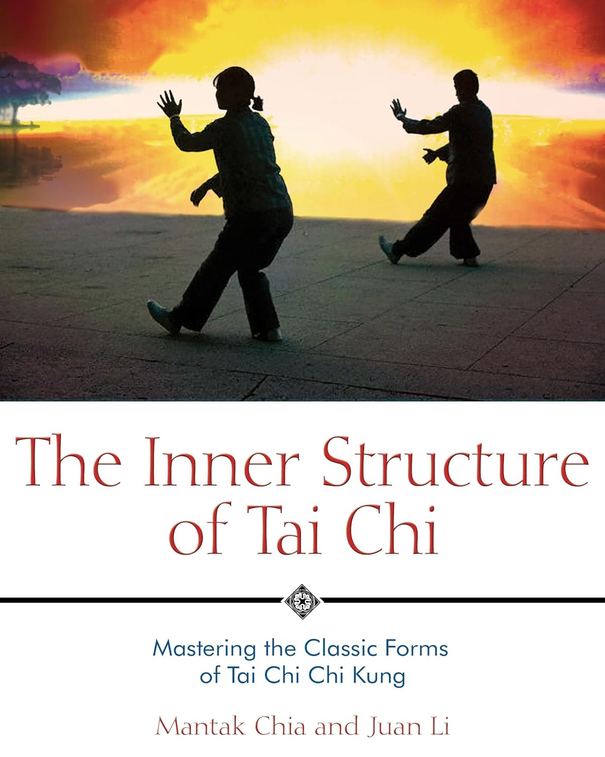 Estructura interna del Tai Chi: libro de Tai Chi y Chi Kung de Mantak Chia (usado)