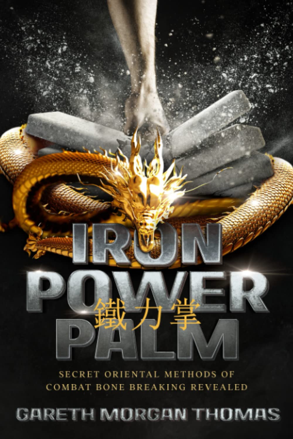 Iron Power Palm: 97 Days to Skull Smashing Power Book by Gareth Morgan Thomas