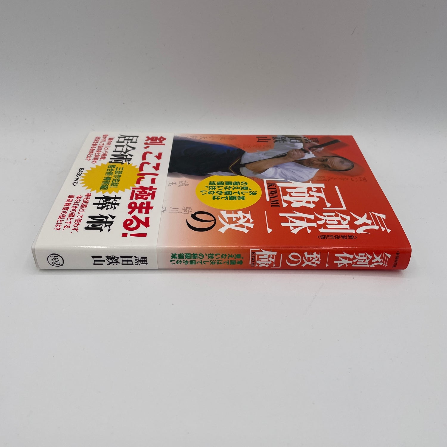 Ki Ken Tai Libro 6: Kiwami de Tetsuzan Kuroda