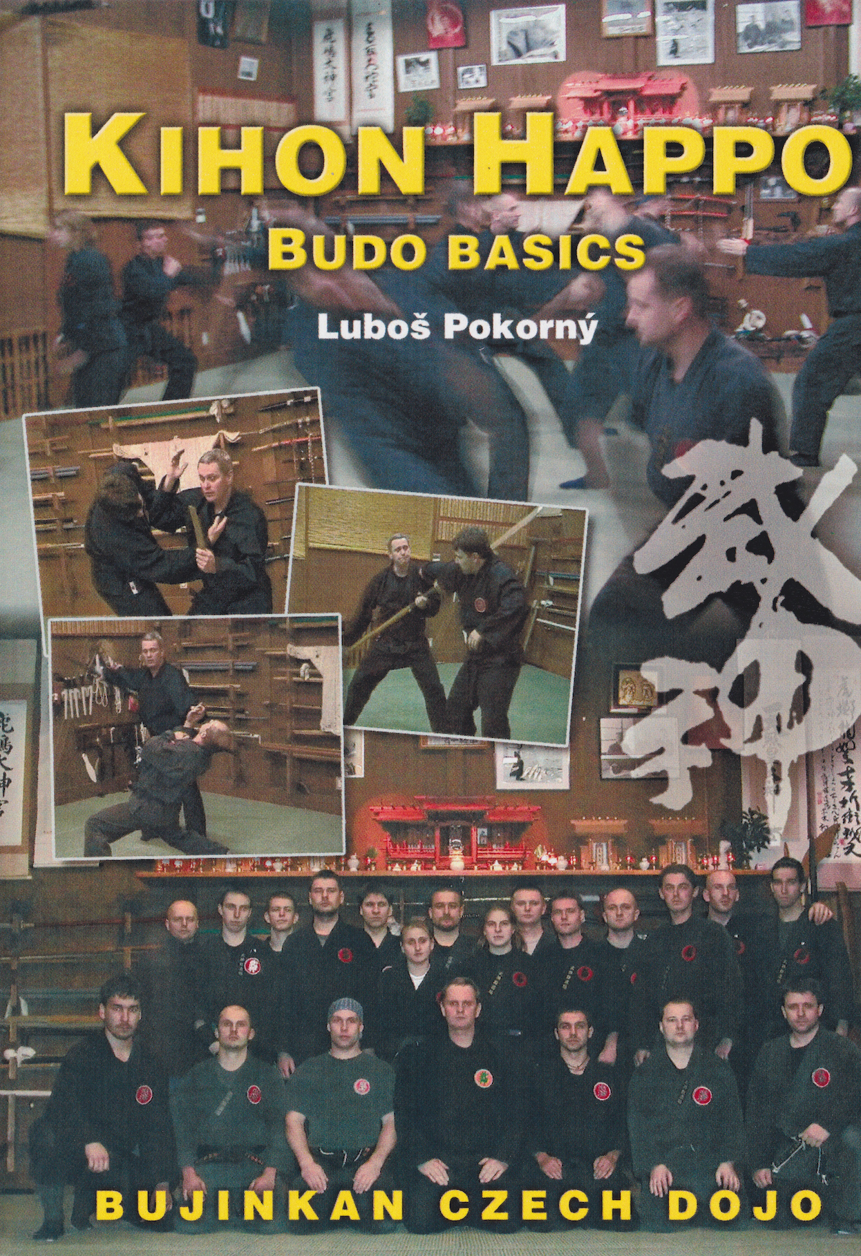 Kihon Happo Bujinkan Budo Basics DVD by Lubos Pokorny (Preowned)