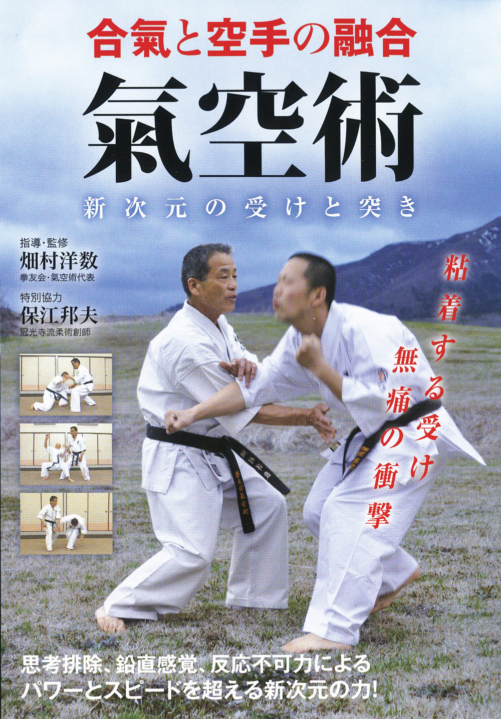 Kikarajutsu: Fusion of Aiki & Karate DVD by Hiroshi Hatamura