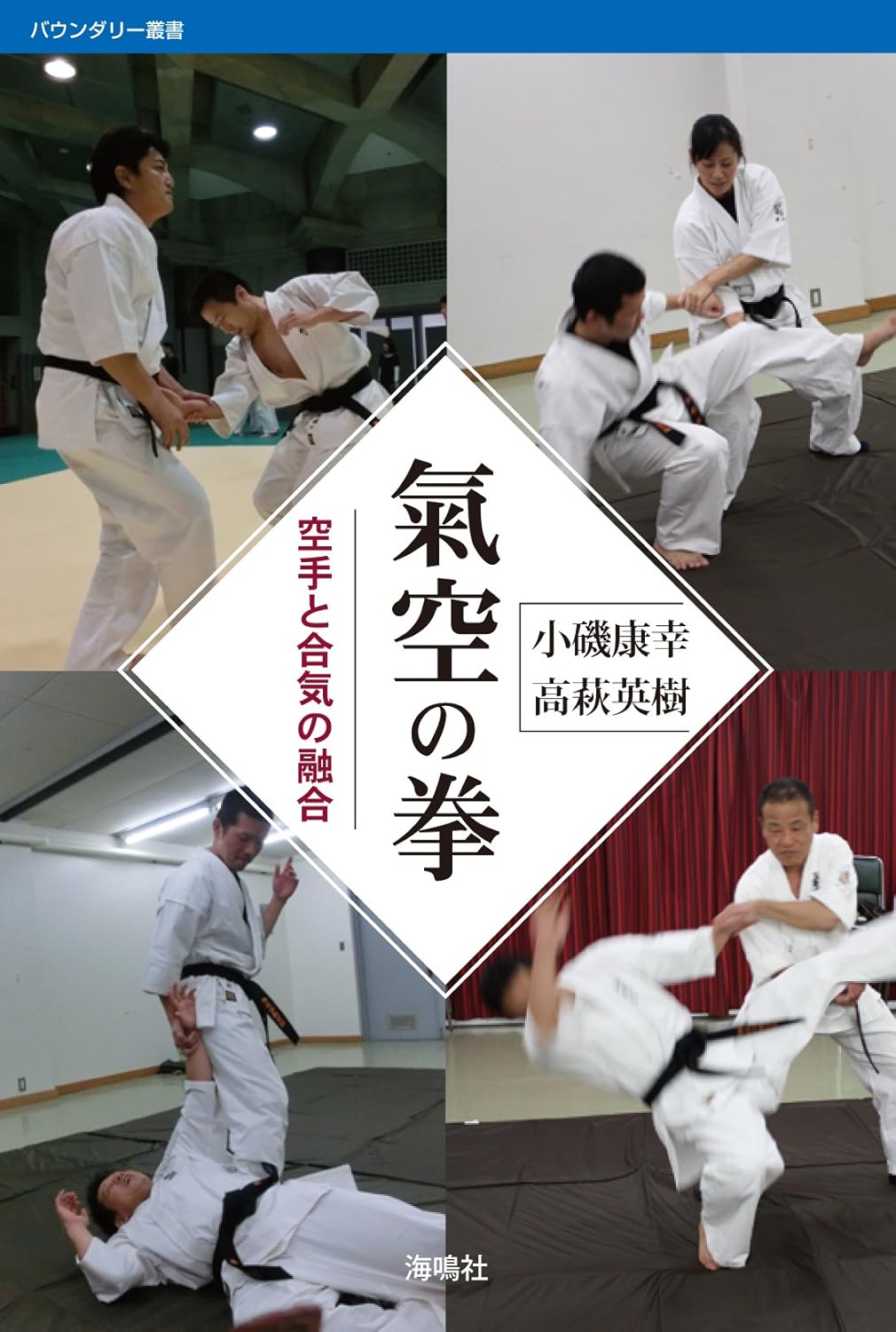 Kiku no Ken: A Fusion of Karate and Aikido Book by Yasuyuki Koiso & Hideki Takahagi (Preowned)