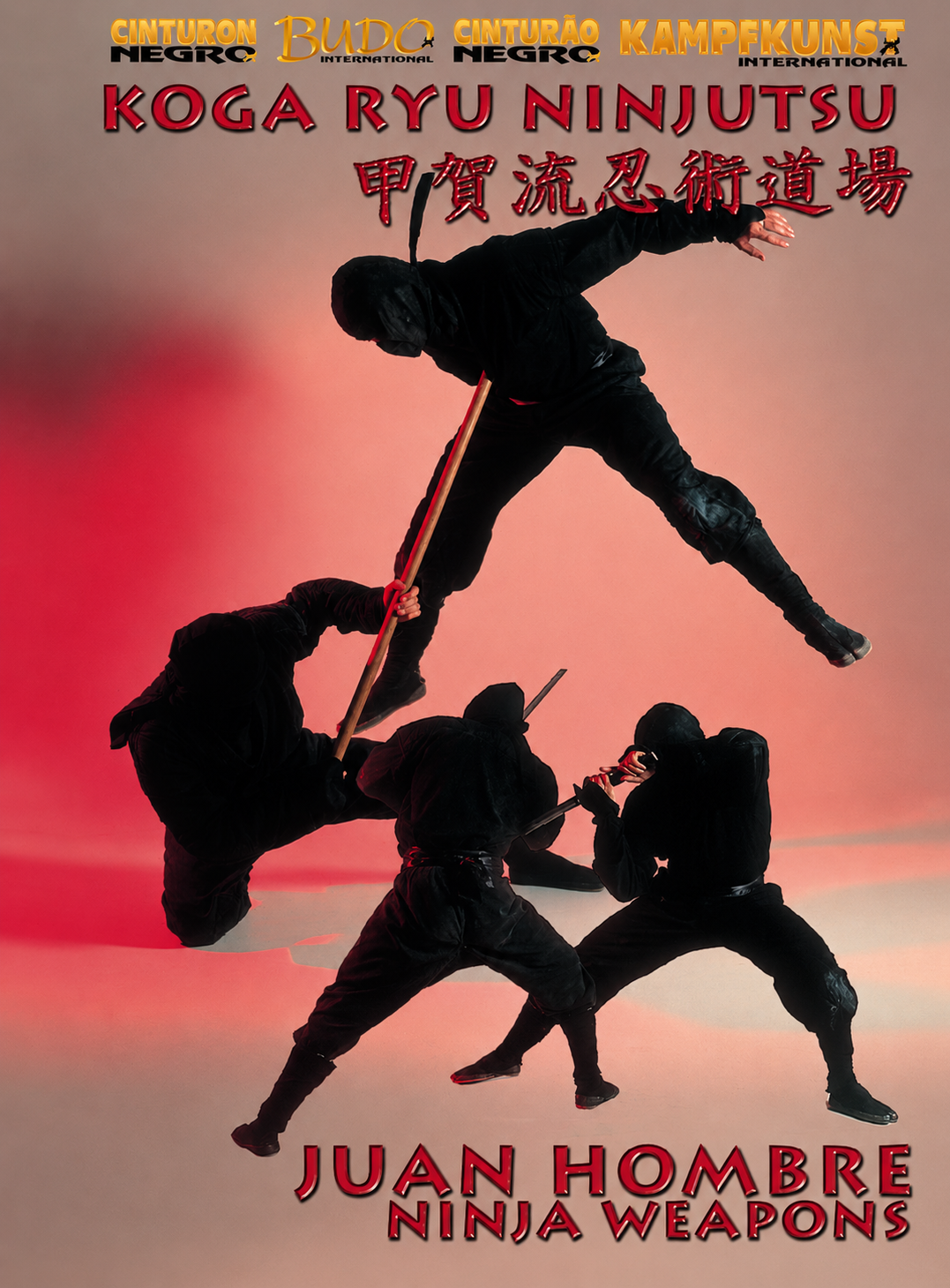 Koga Ryu Ninjutsu Weapons DVD by Juan Hombre