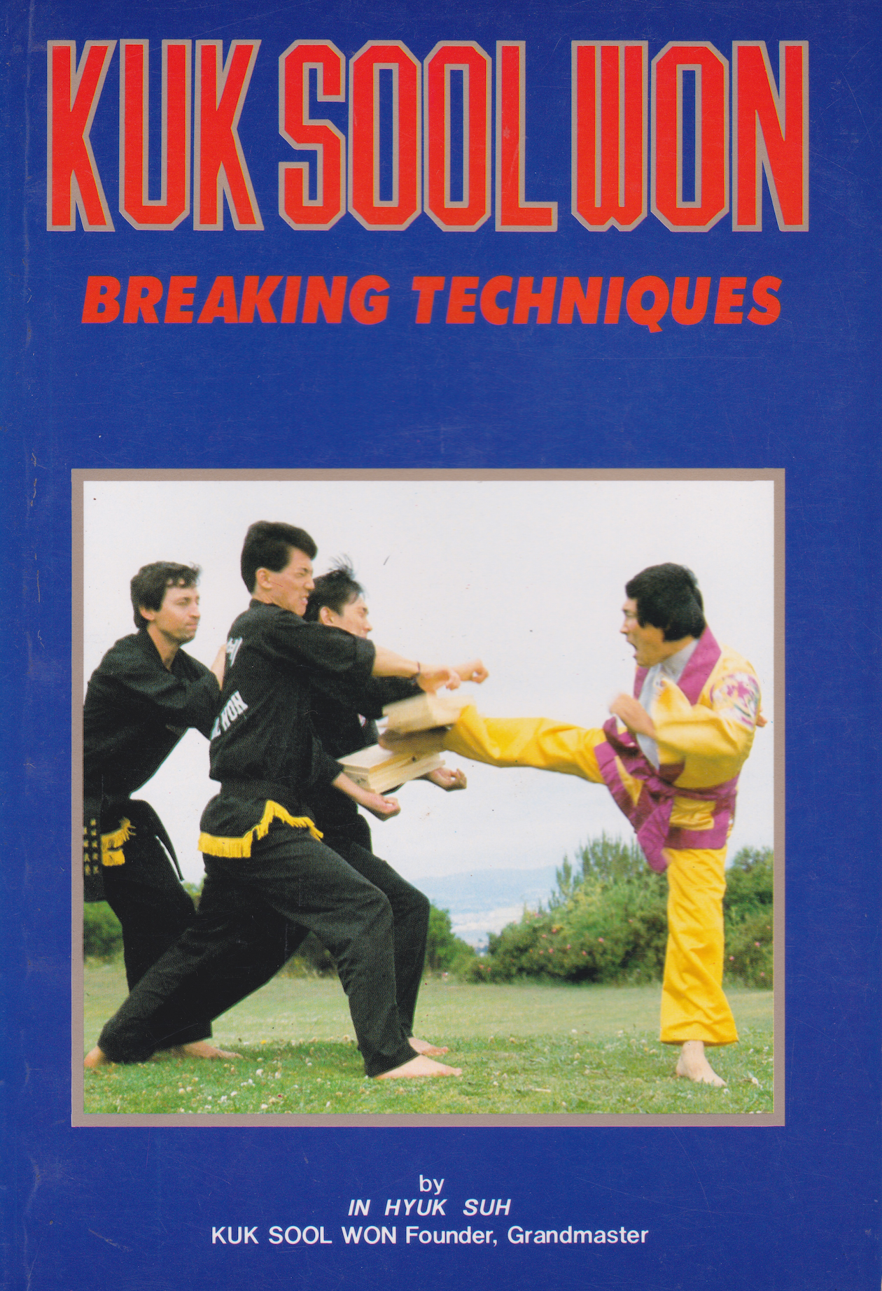 Kuk Sool Won: Breaking Techniques Book by In Hyuk Suh (Preowned)