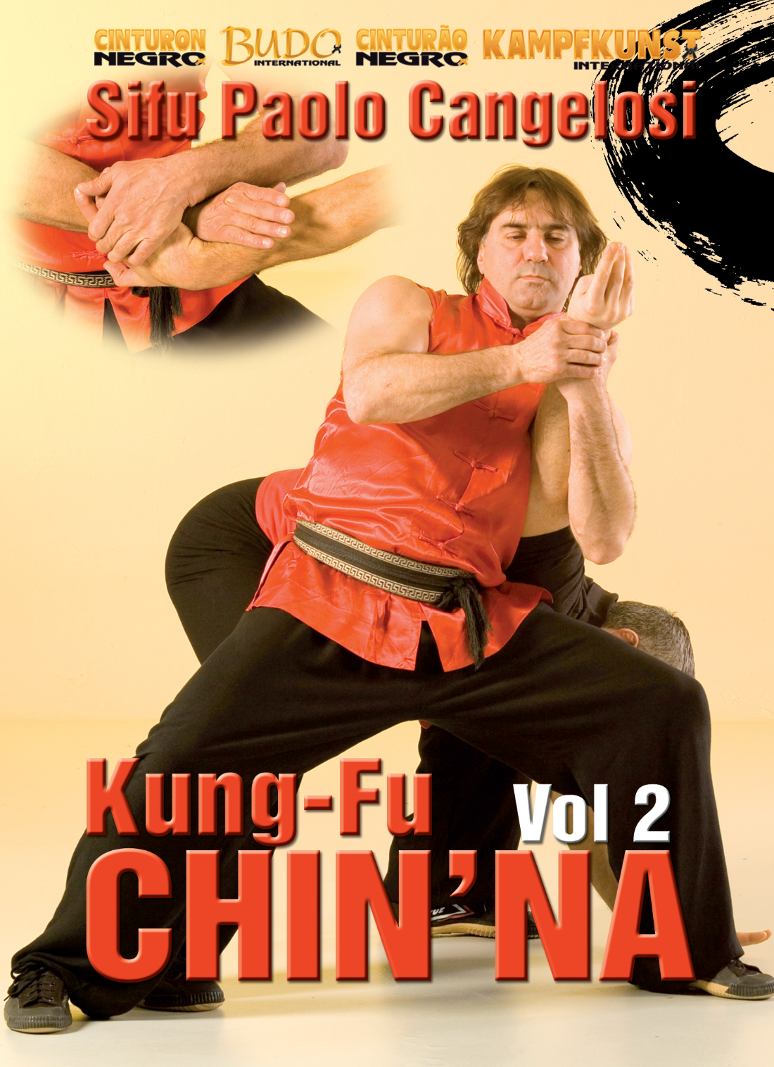 Kung Fu Chin Na Vol 2 DVD by Paolo Cangelosi.