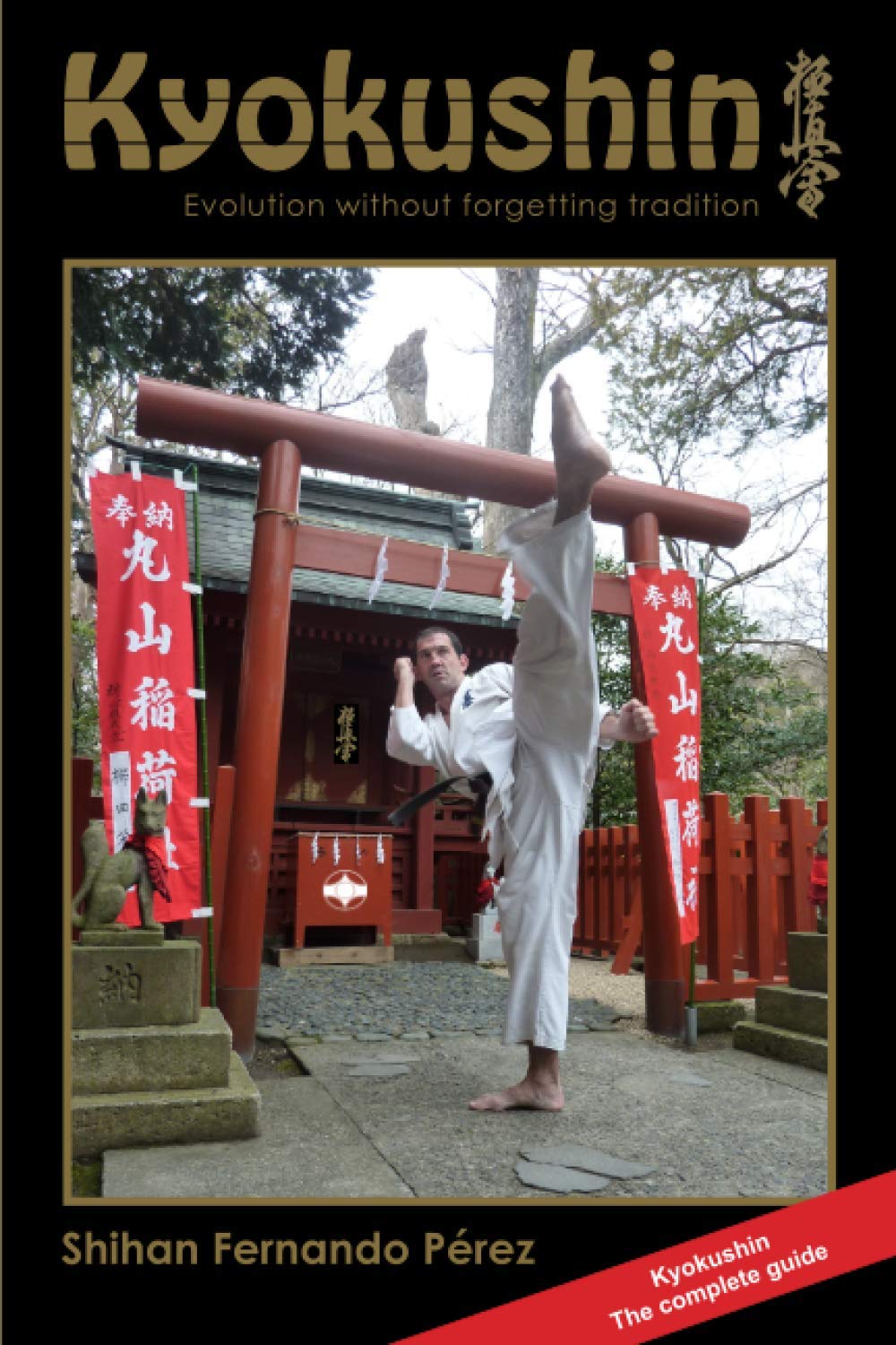 Kyokushin: Evolution Without Forgetting Tradition Book by Fernando Perez